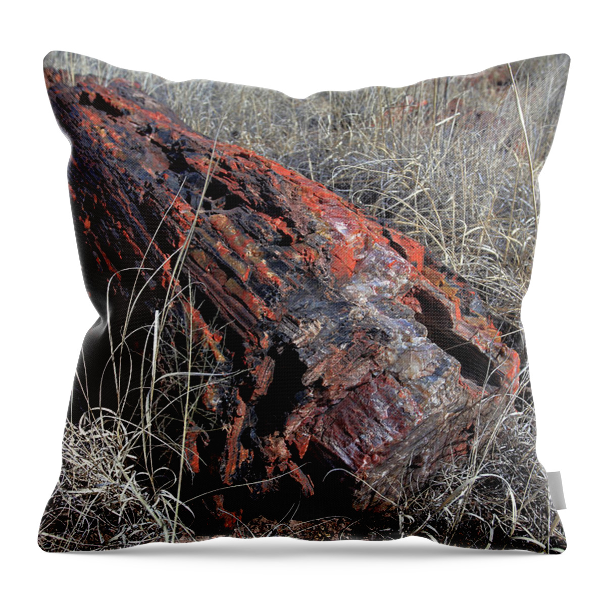Petrified Forest Throw Pillow featuring the photograph Defying Eternity by Gary Kaylor