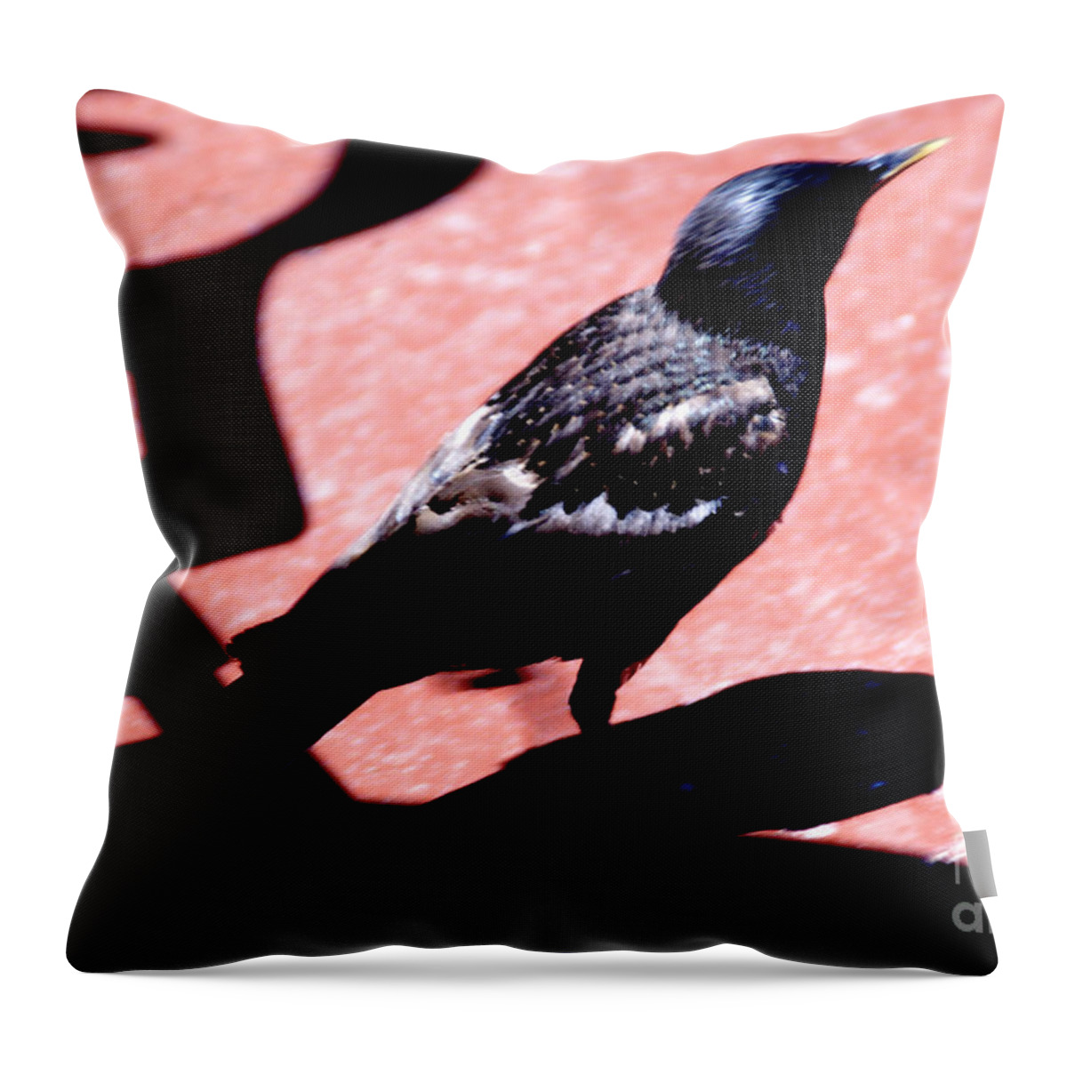 Bird Throw Pillow featuring the photograph Del Coronado by Linda Shafer