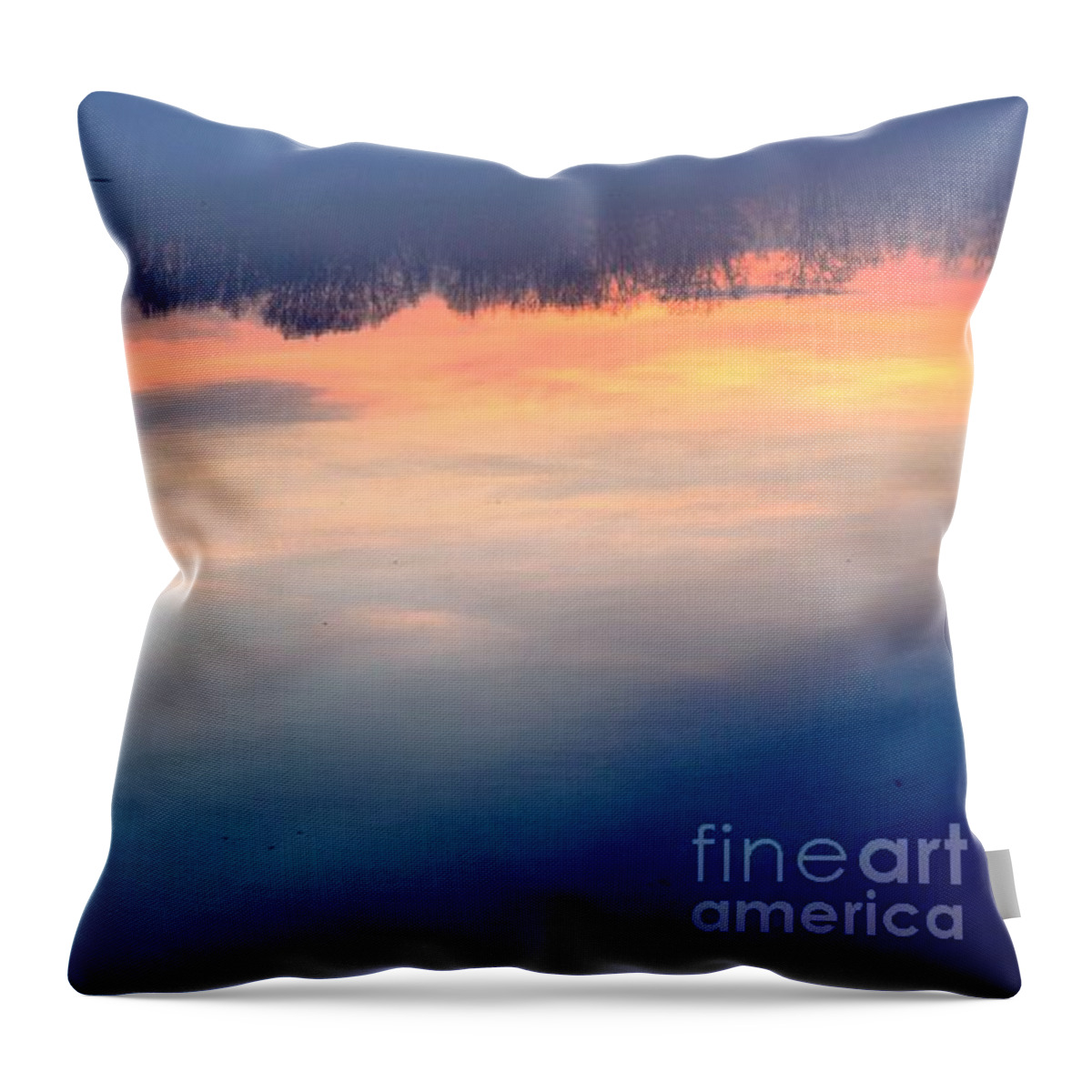 Delaware Throw Pillow featuring the photograph Delaware River Abstract Reflections Foggy Sunrise Nature Art by Robyn King