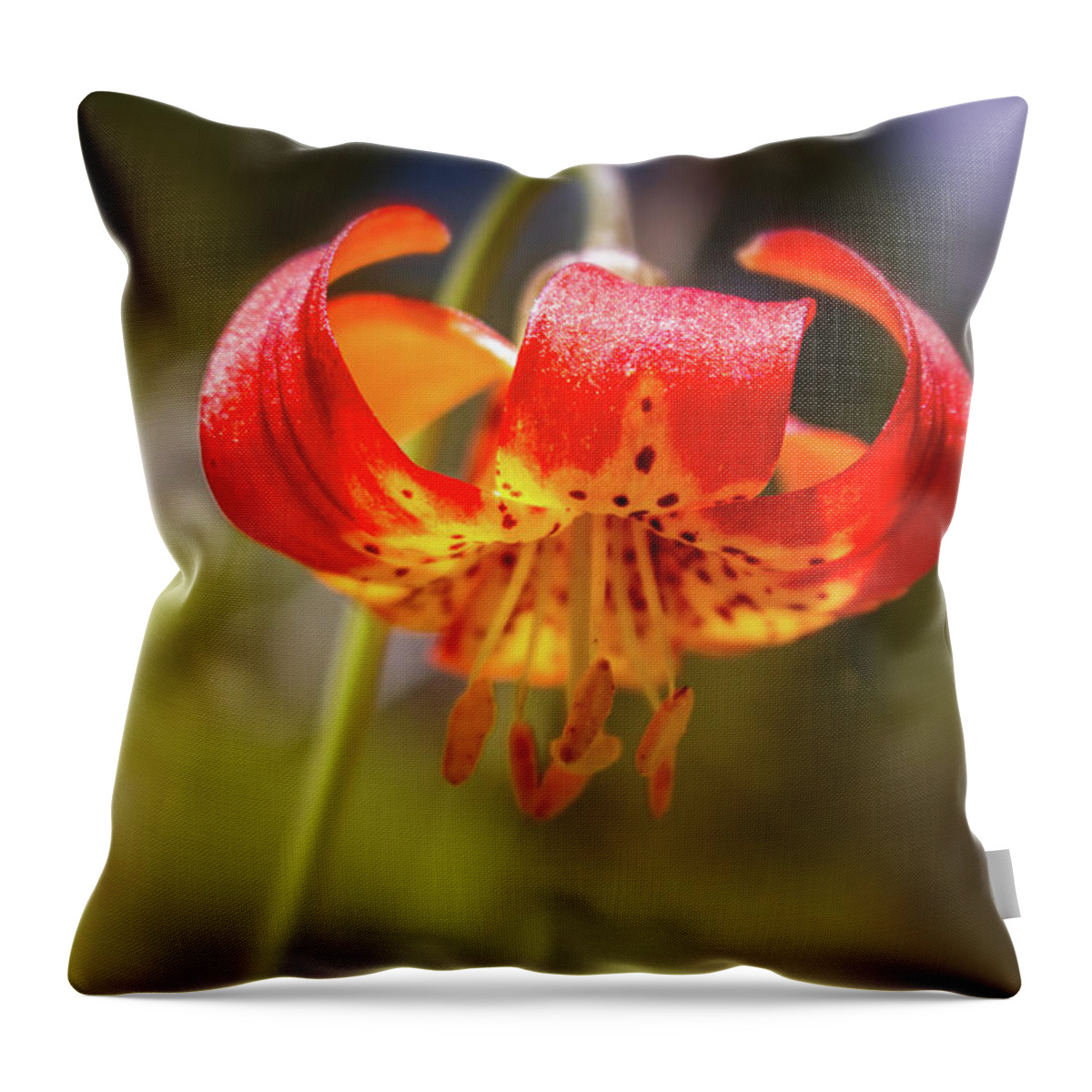 Lilium Throw Pillow featuring the photograph Delicate Beauty by Marnie Patchett