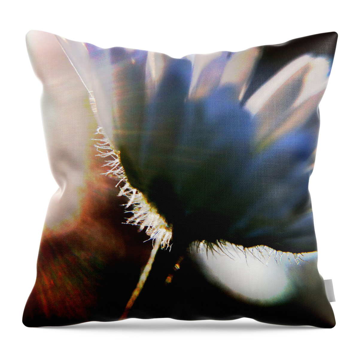Macro Throw Pillow featuring the photograph Delicate Flower by Stevyn Llewellyn