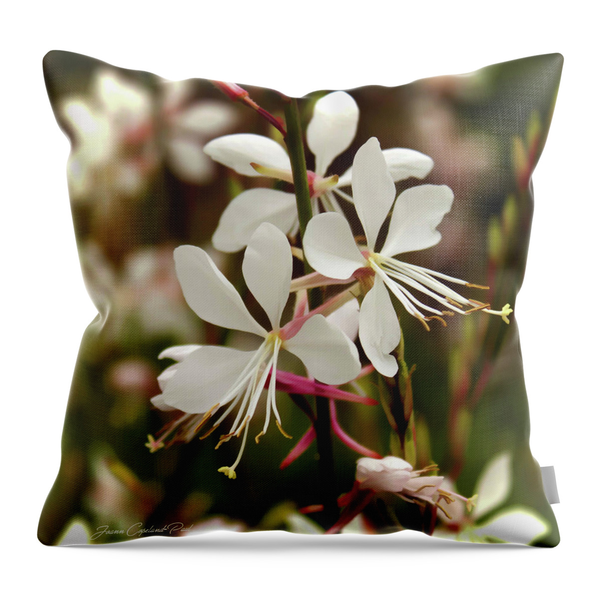 Nature Throw Pillow featuring the photograph Delicate Gaura Flowers by Joann Copeland-Paul