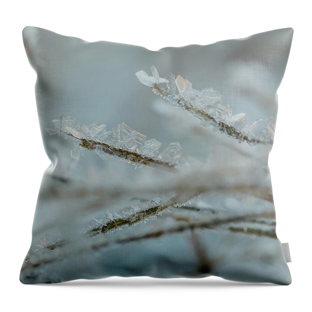 2016 Throw Pillow featuring the photograph Delicate Morning Frost by Amber Flowers