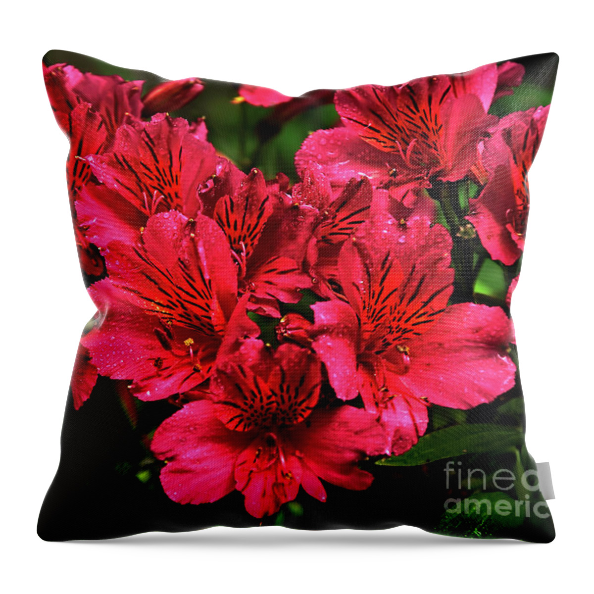 Photography Throw Pillow featuring the photograph Delicate Princess Lilies by Kaye Menner