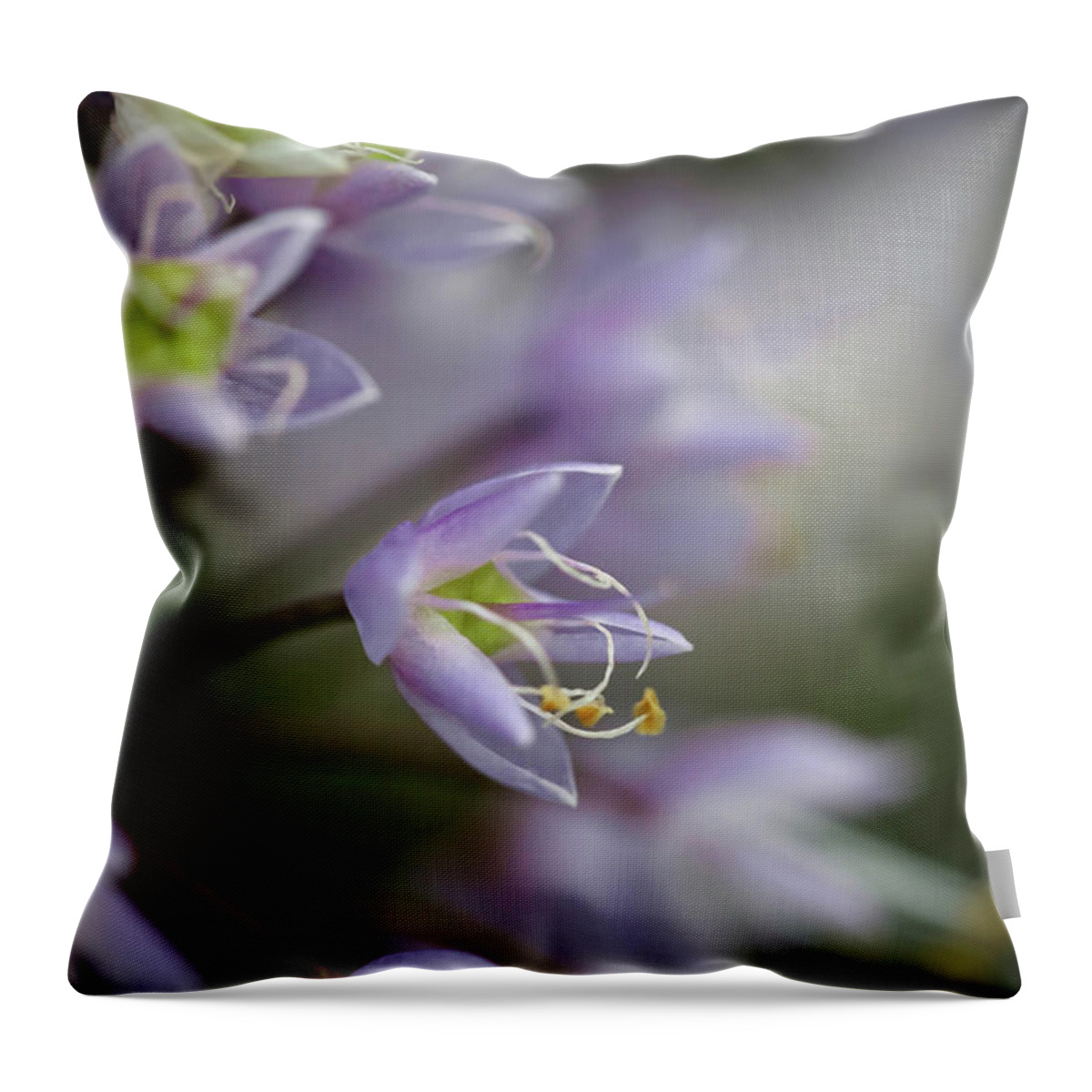 Purple Wall Art Throw Pillow featuring the photograph Delicate Purple Flowers by Brooke T Ryan