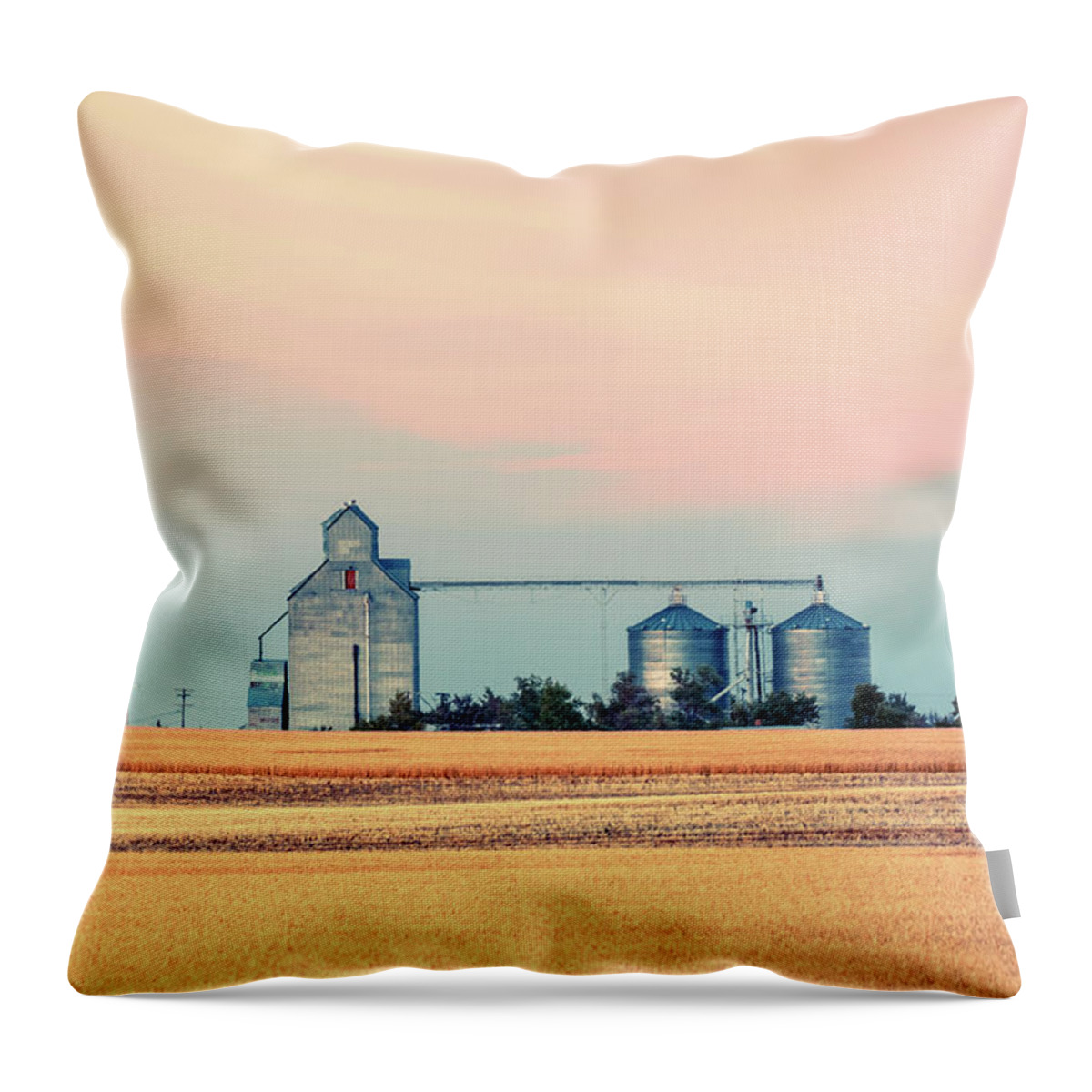 Dutton Throw Pillow featuring the photograph Delightful Dutton by Todd Klassy