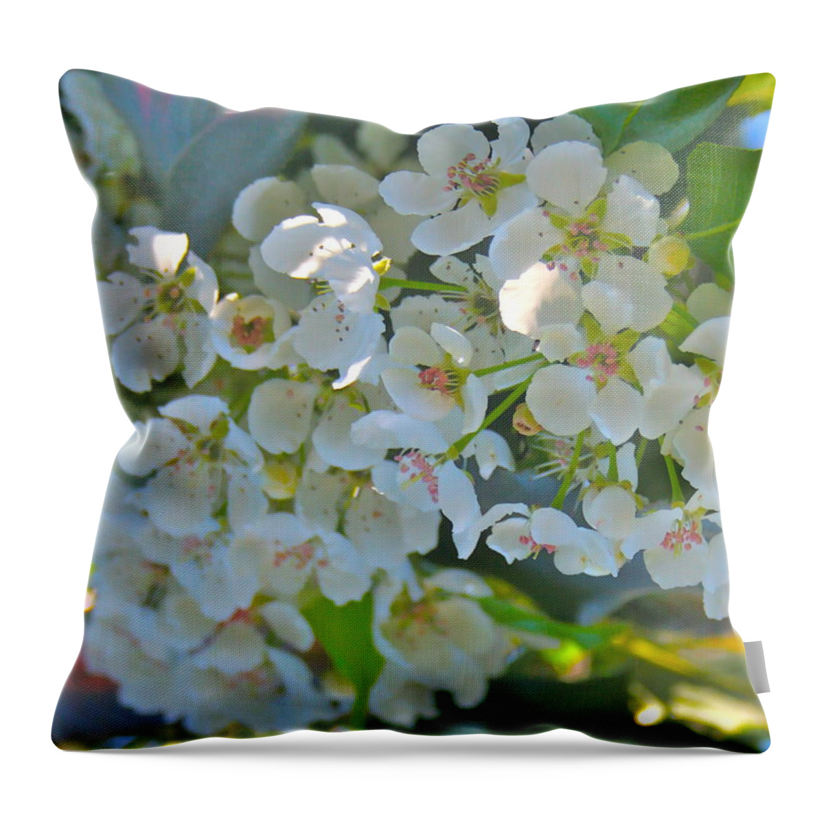 Photograph Of White Flower Throw Pillow featuring the photograph Delightfully White by Gwyn Newcombe