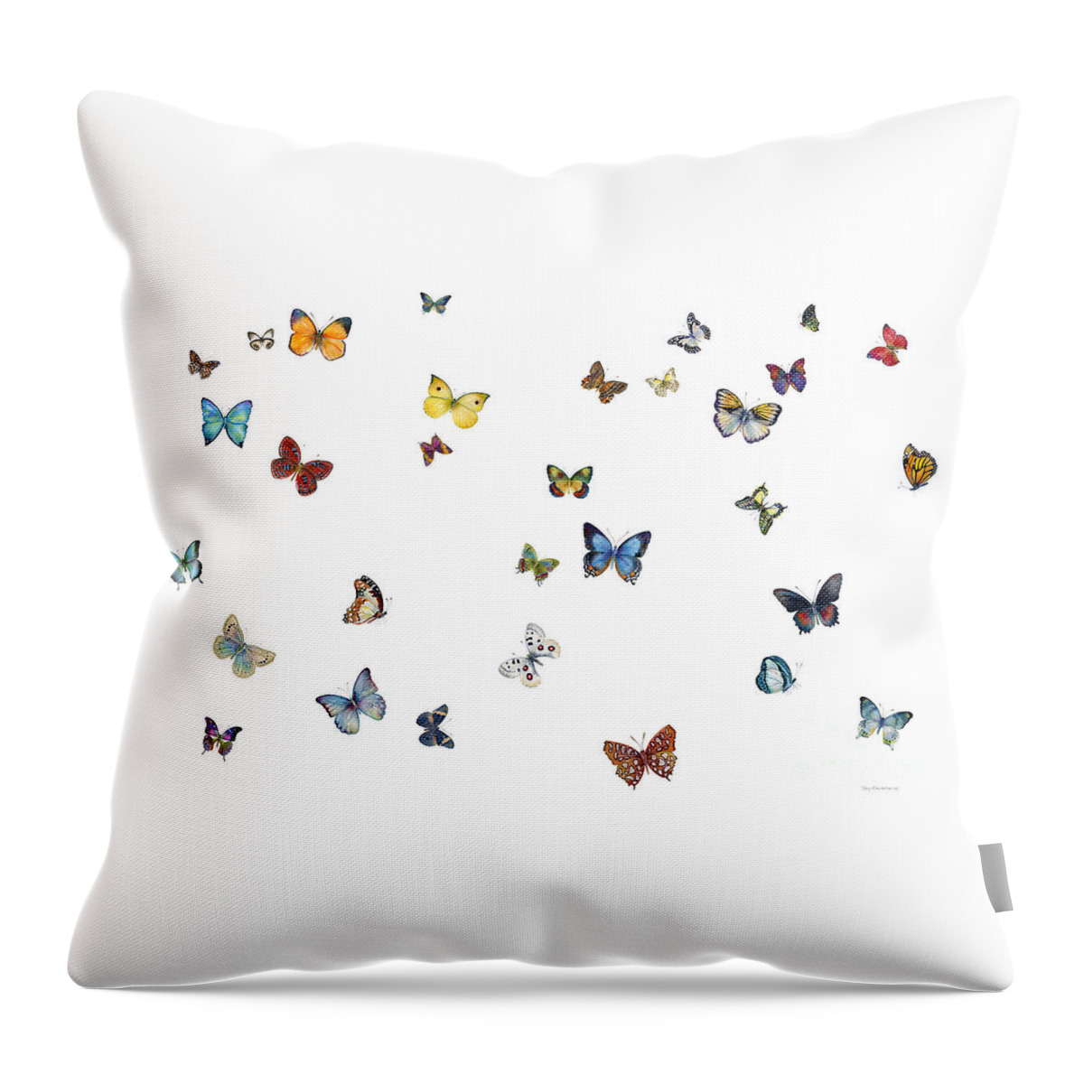 Butterflies Throw Pillow featuring the painting Delphine by Amy Kirkpatrick
