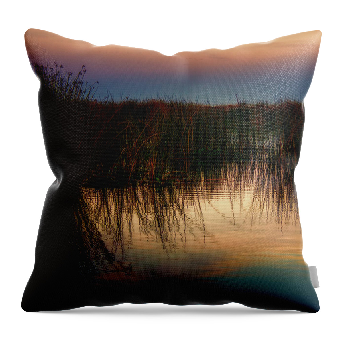  Throw Pillow featuring the digital art Delta Dark by Terry Davis