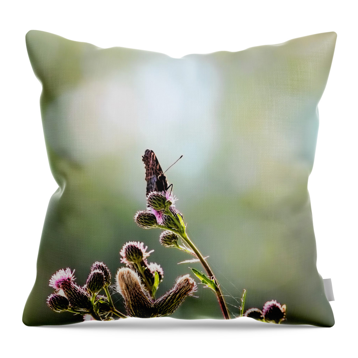 Demon Throw Pillow featuring the photograph Demon by Leif Sohlman