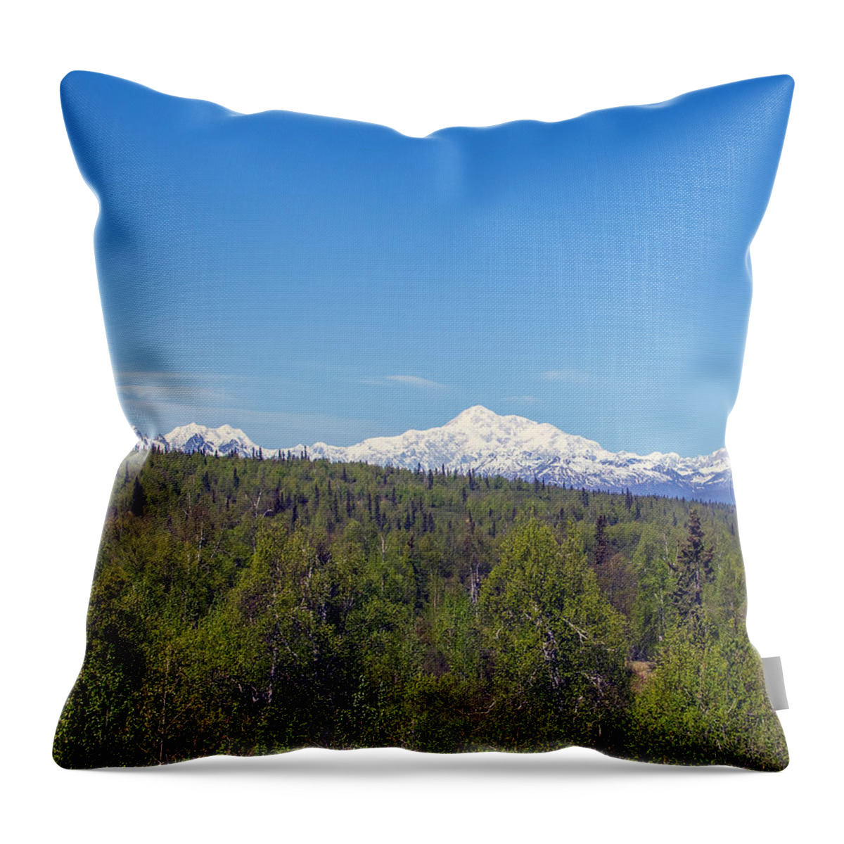 Alaska Throw Pillow featuring the photograph Denali by Allan Levin