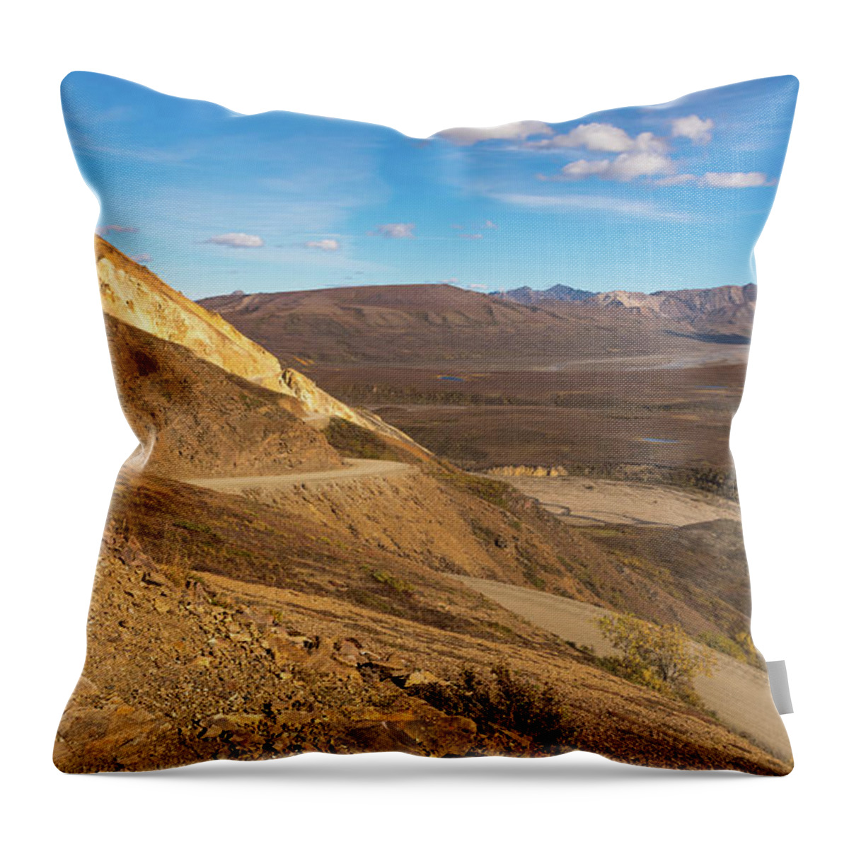 Alaska Throw Pillow featuring the photograph Denali National Park by Brenda Jacobs