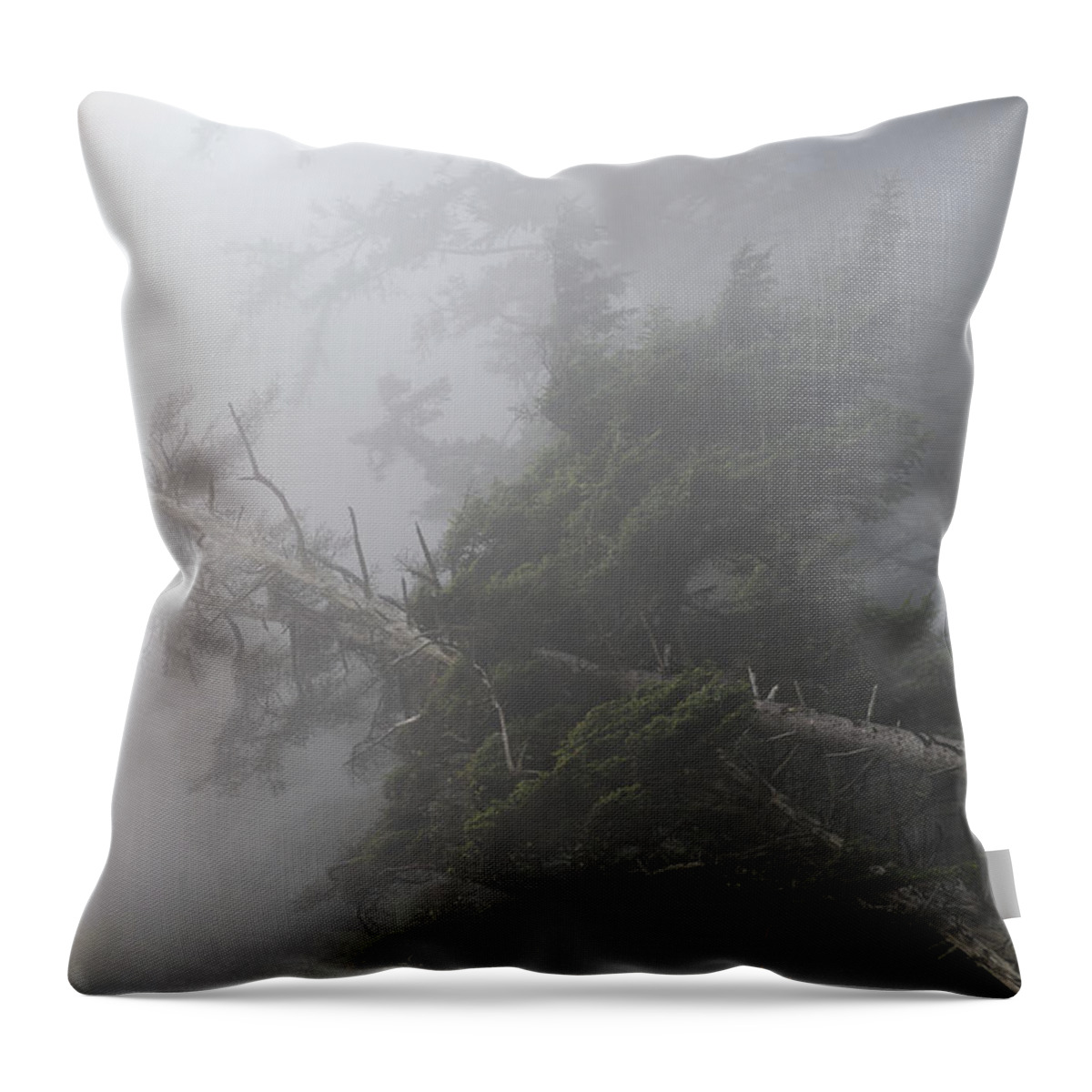 Cannon Beach Throw Pillow featuring the photograph Dense Fog by Robert Potts