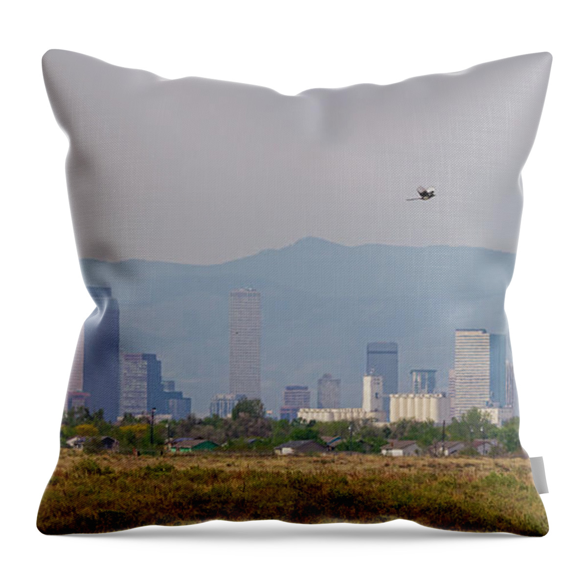 Denver Throw Pillow featuring the photograph Denver Colorado Pretty Bird Fly By by James BO Insogna