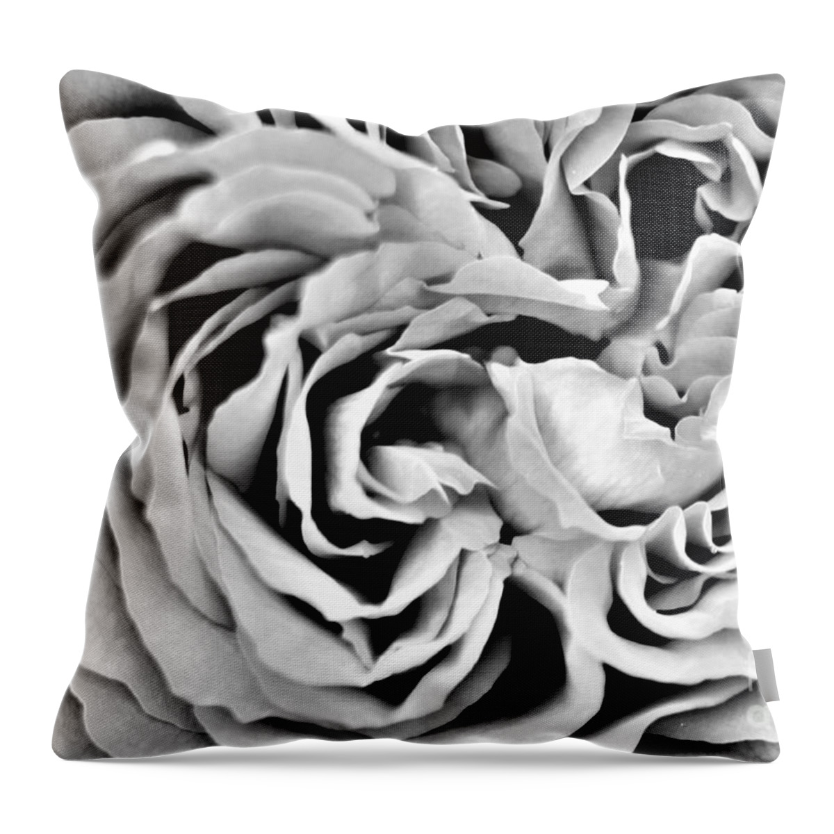 Rose Throw Pillow featuring the photograph Depths by Tracey Lee Cassin