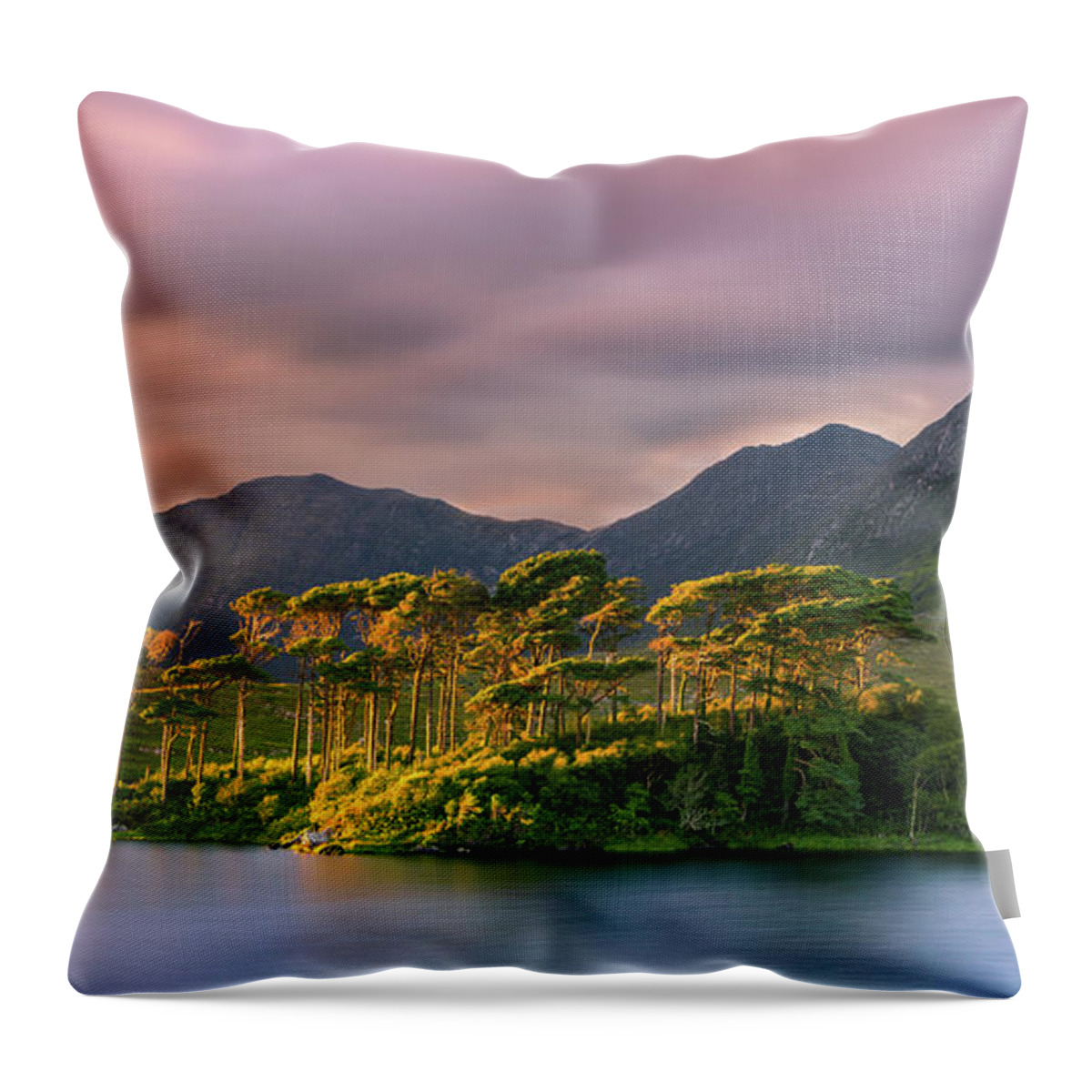 Color Image Throw Pillow featuring the photograph Derryclare Lough - Ireland by Henk Meijer Photography