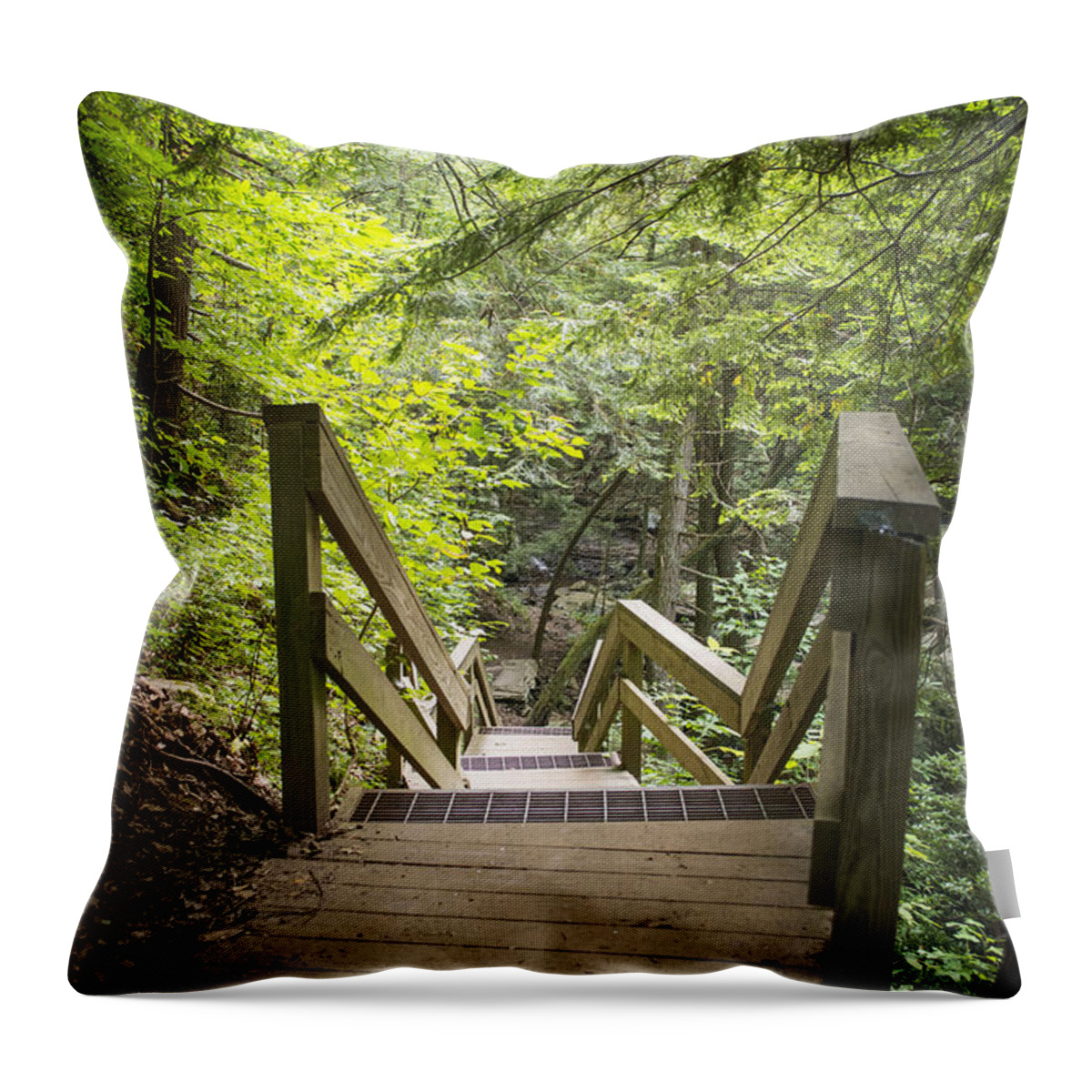 Chita Hunter Throw Pillow featuring the photograph Descend by Chita Hunter