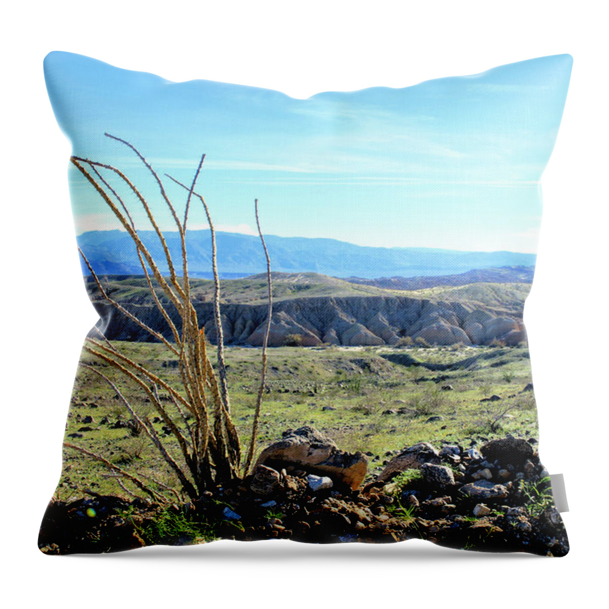 Anza Borrego Desert State Park Throw Pillow featuring the photograph Desert After The Rains by Michelle Joseph-Long