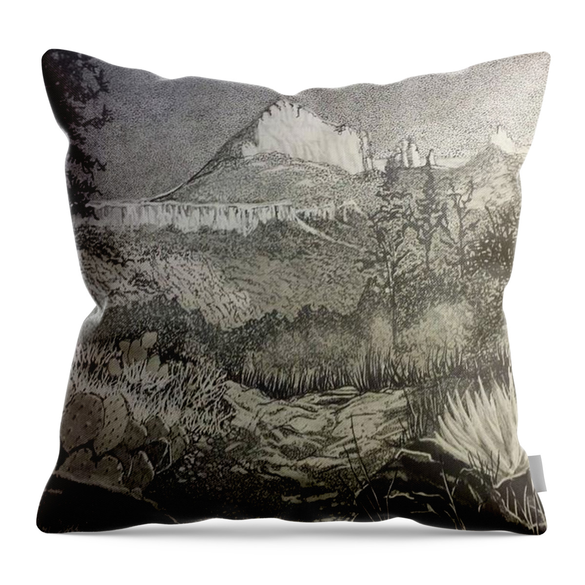 Pen And Ink Throw Pillow featuring the drawing Desert Beauty by Betsy Carlson Cross