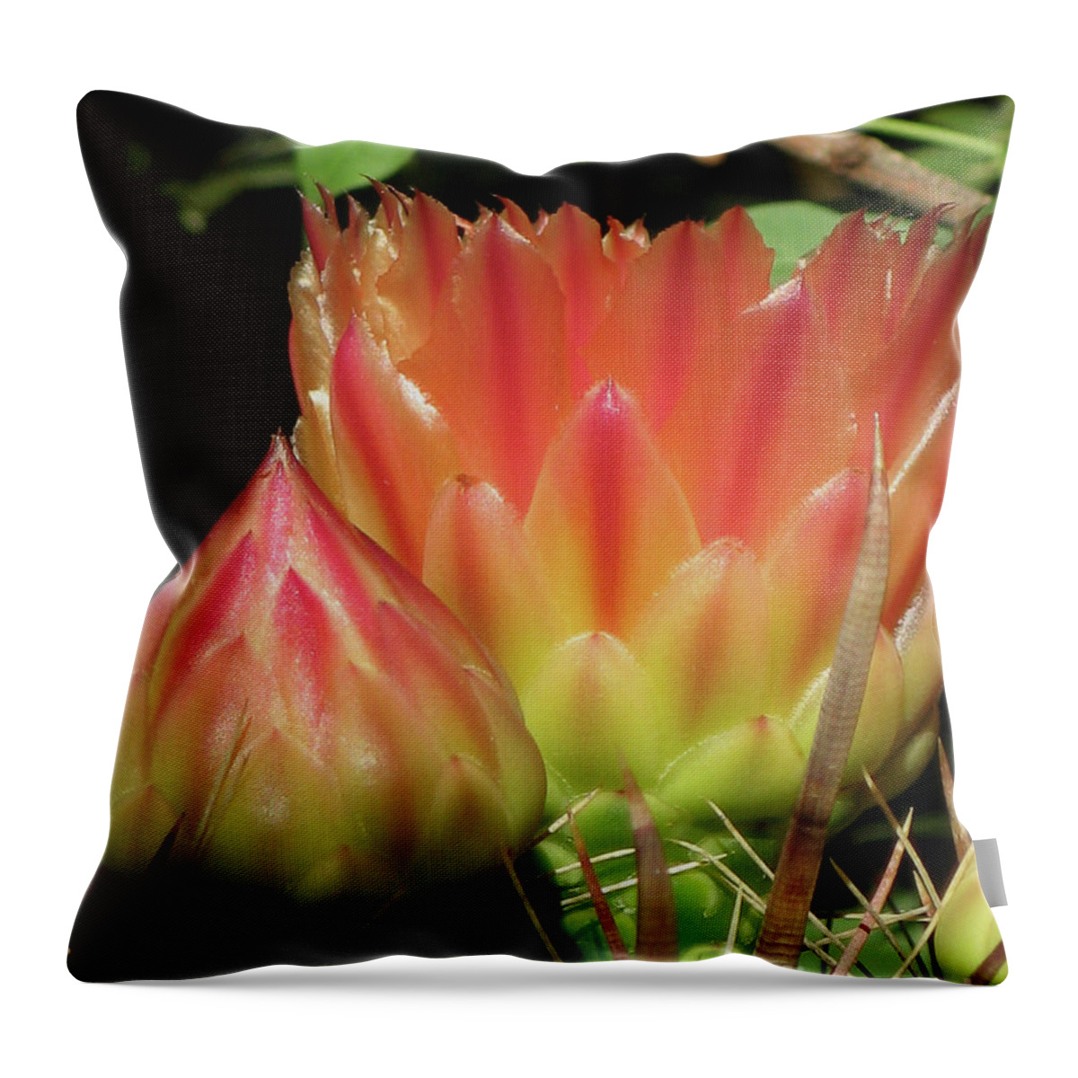 Floral Throw Pillow featuring the photograph Desert Bloom by Rebecca Langen