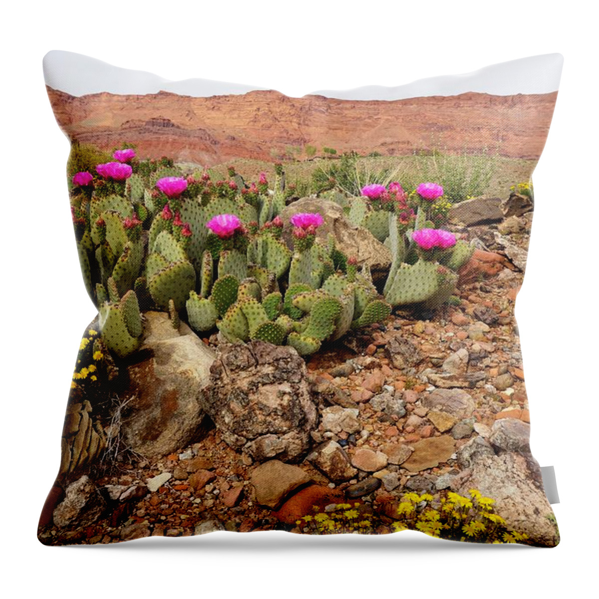 Vermillion Throw Pillow featuring the photograph Desert Cactus in Bloom by Tranquil Light Photography