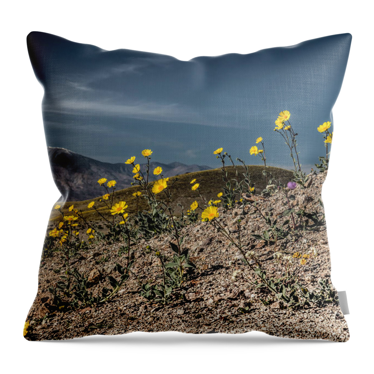 Ashford Mills Throw Pillow featuring the photograph Desert Gold in Death Valley by Janis Knight