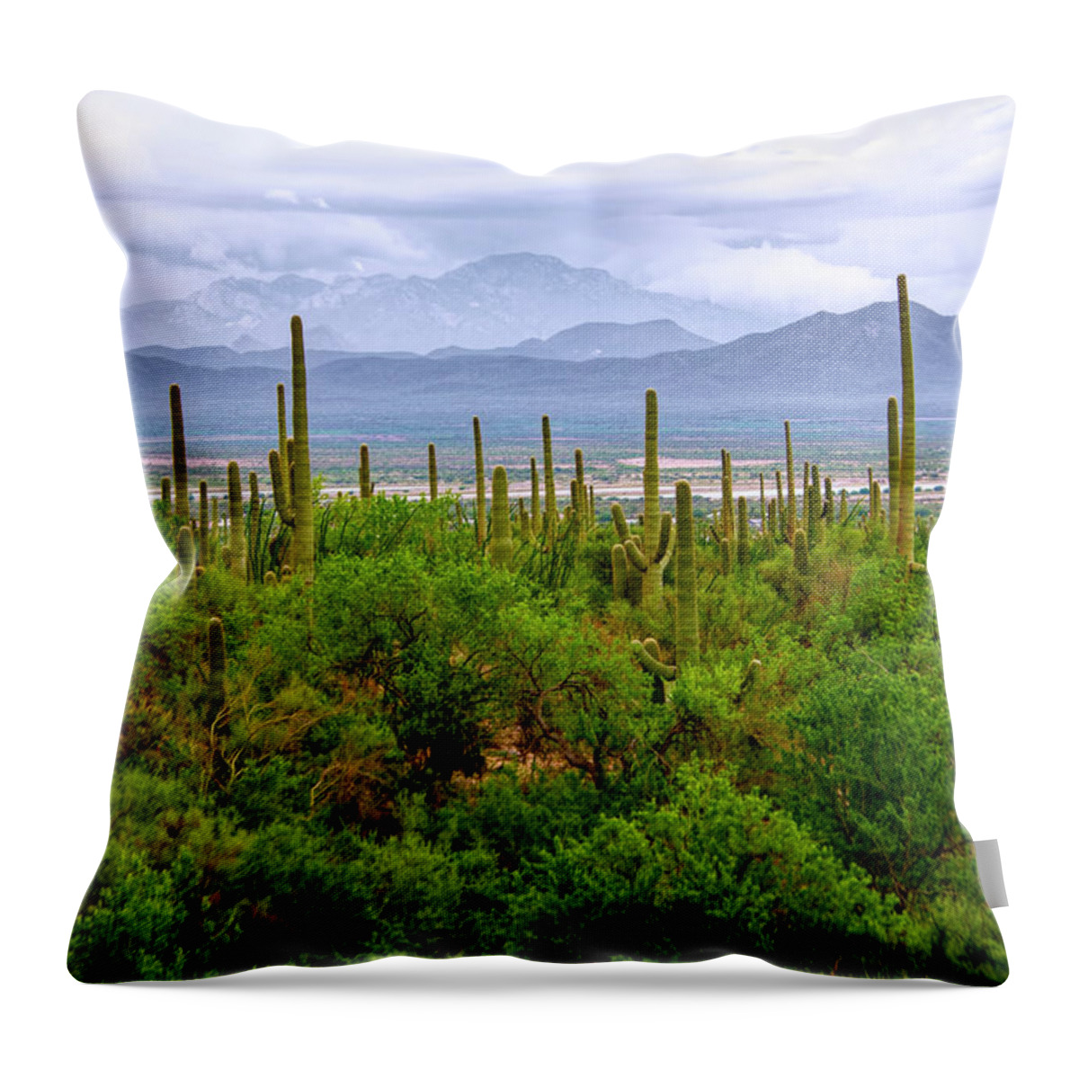 Desert Throw Pillow featuring the photograph Desert Green by Barbara Manis