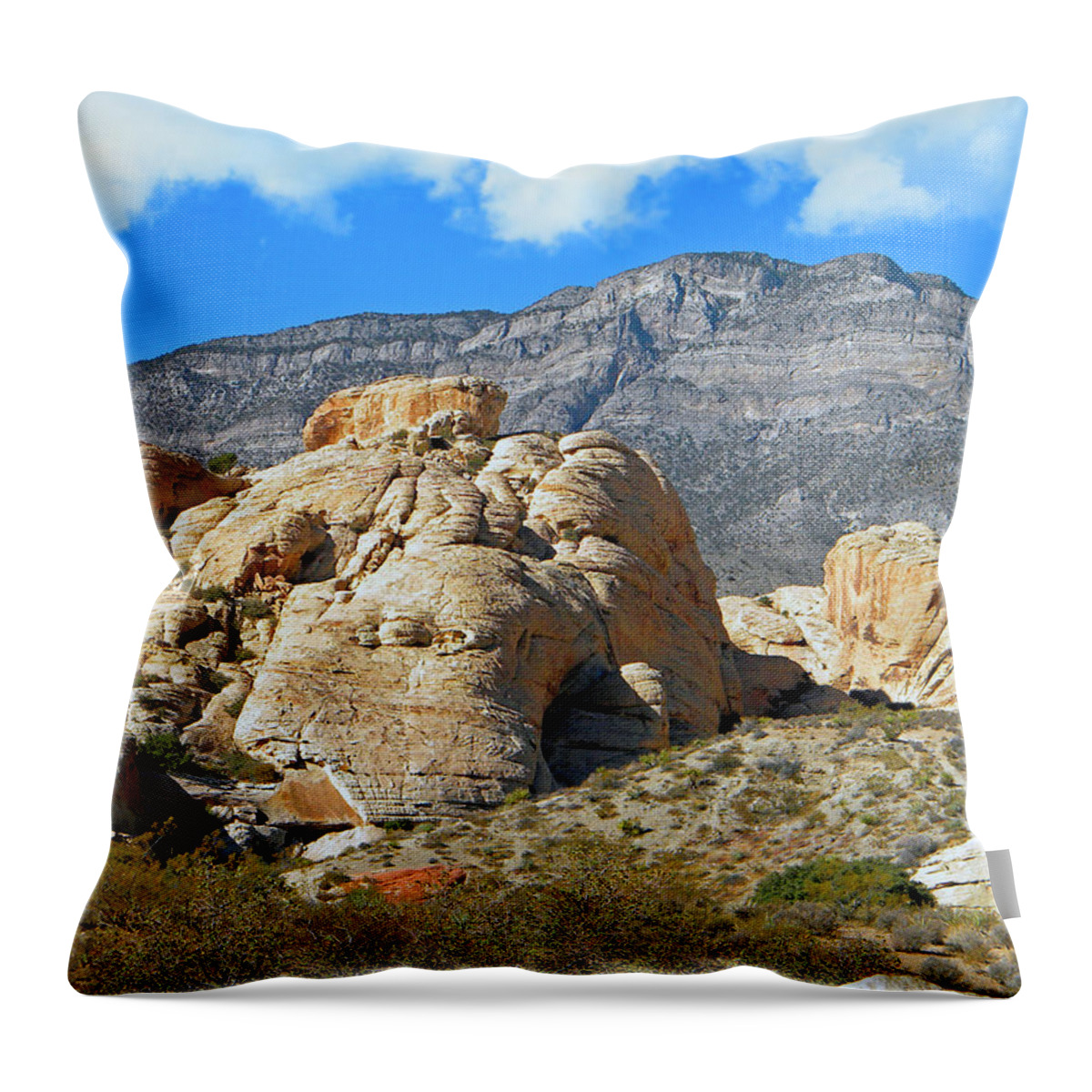 Frank Wilson Throw Pillow featuring the photograph Desert Hikers by Frank Wilson