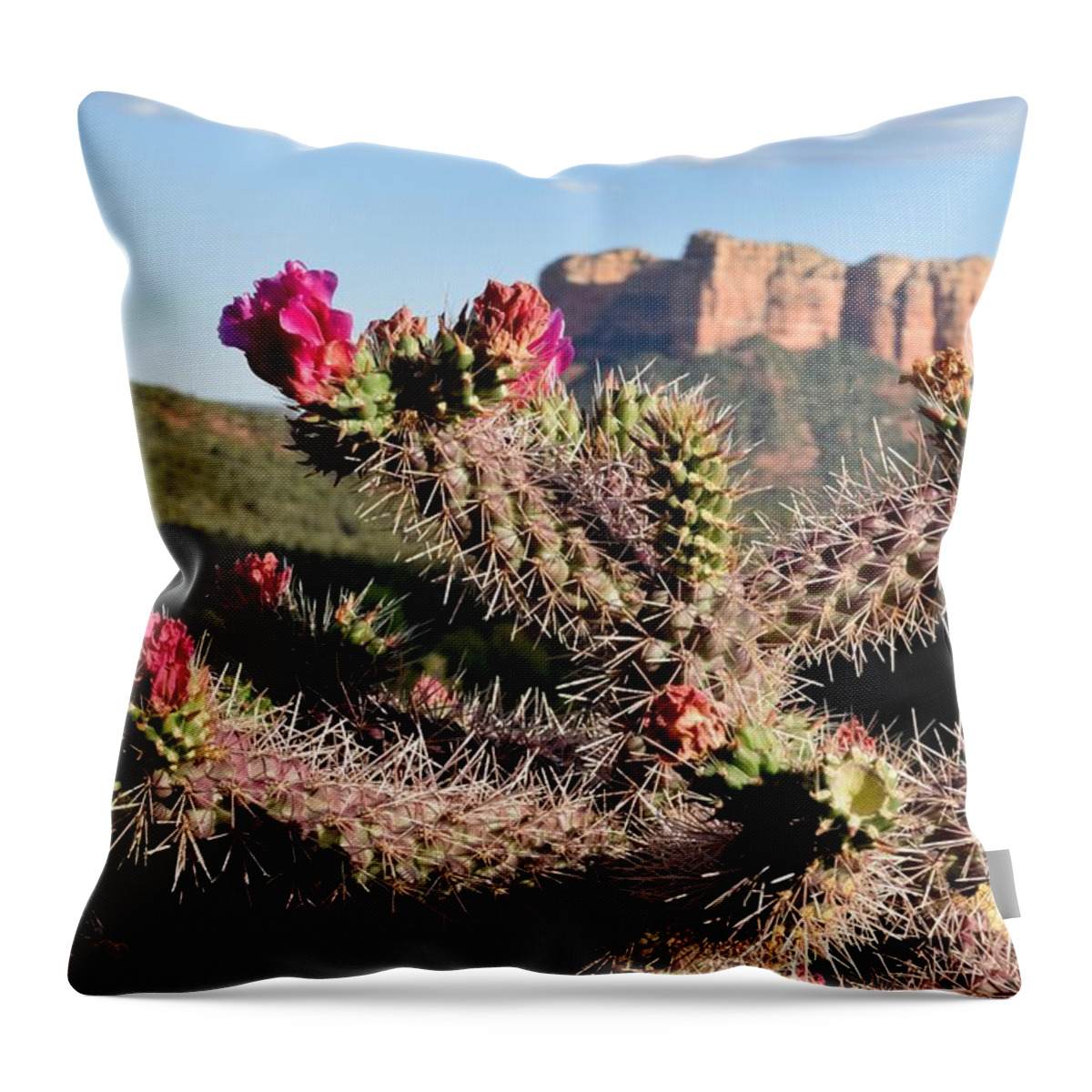 Sedona Throw Pillow featuring the photograph Desert in bloom by Jim Bennight