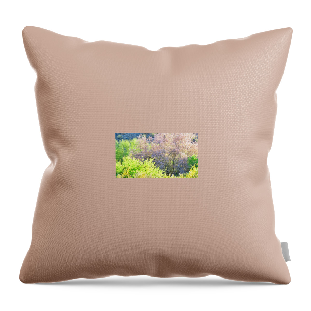  Arizona Throw Pillow featuring the photograph Desert Ironwood Tree in Bloom by Judy Kennedy