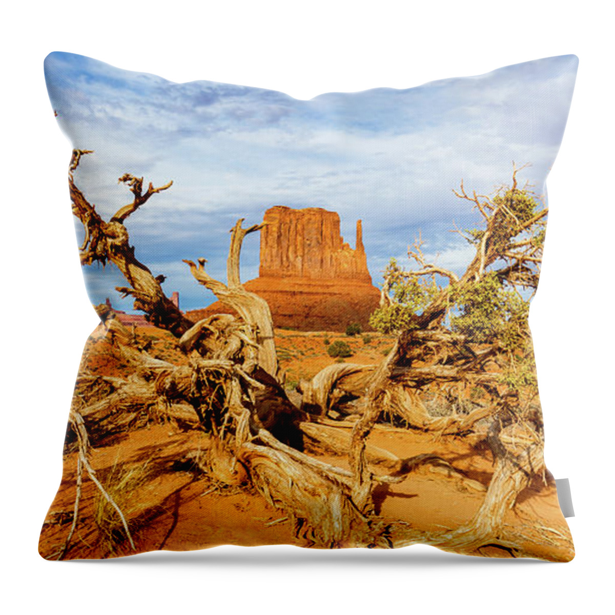 Monument Valley Throw Pillow featuring the photograph Desert Life III by Raul Rodriguez