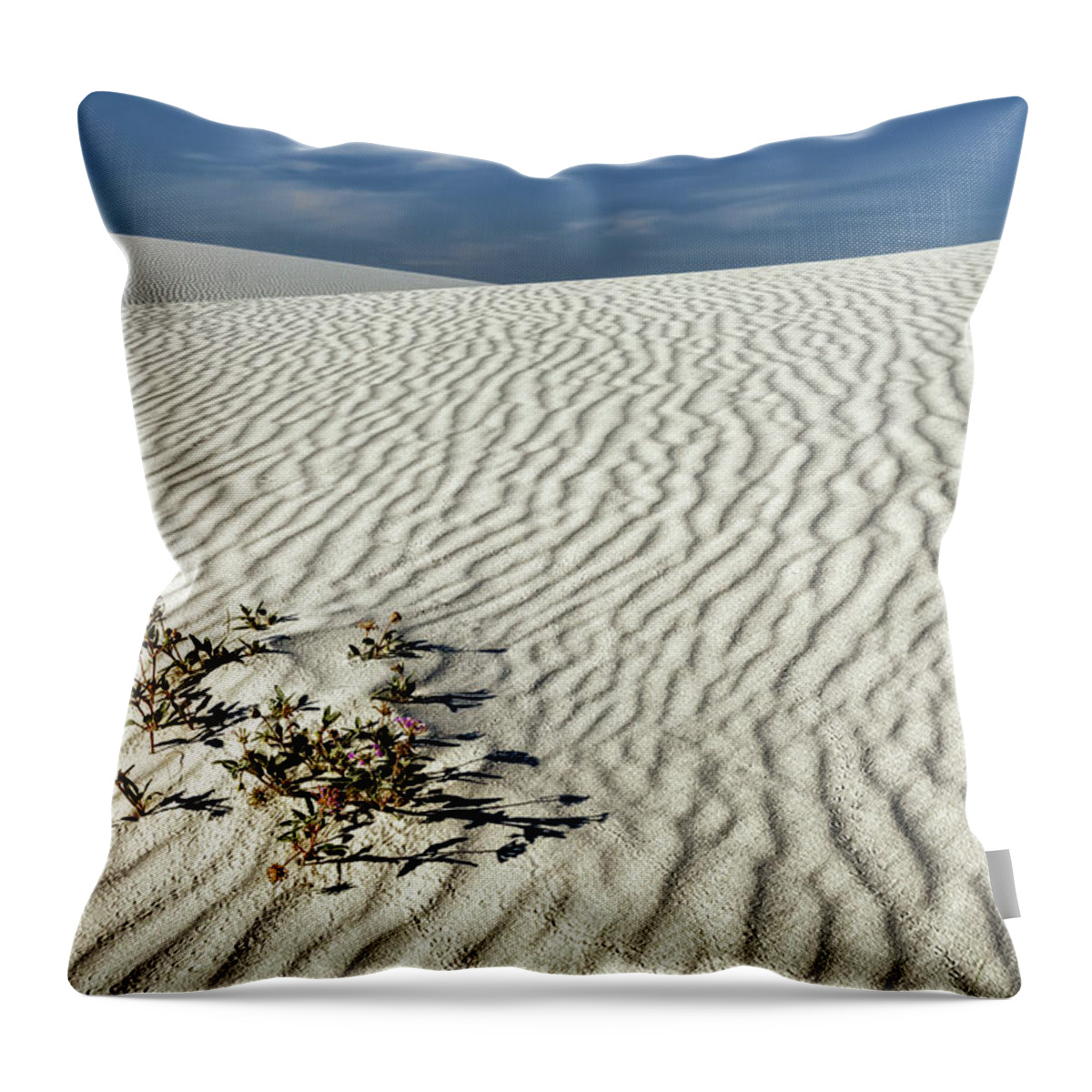 White Sands Throw Pillow featuring the photograph Desert Life by James Barber