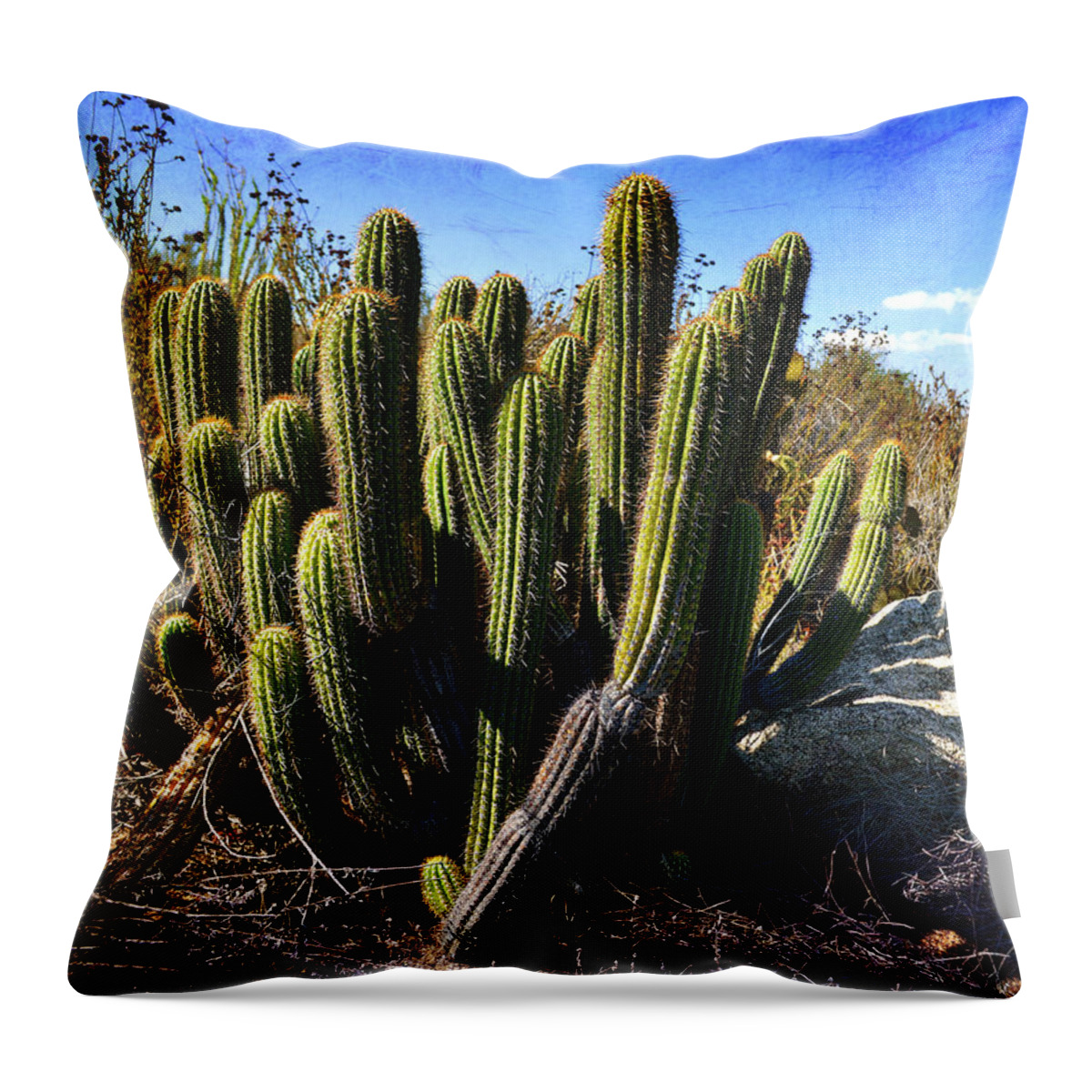 Glenn Mccarthy Throw Pillow featuring the photograph Desert Plants - The Wild Bunch by Glenn McCarthy Art and Photography