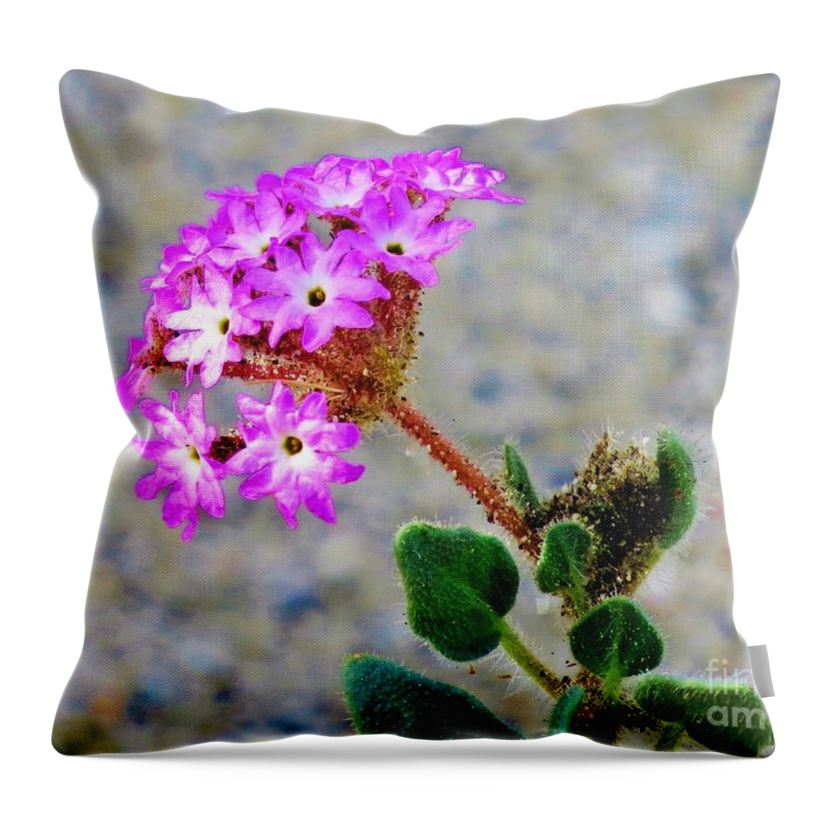 Abronia Villosa Throw Pillow featuring the photograph Desert Sand Verbena by Michele Penner
