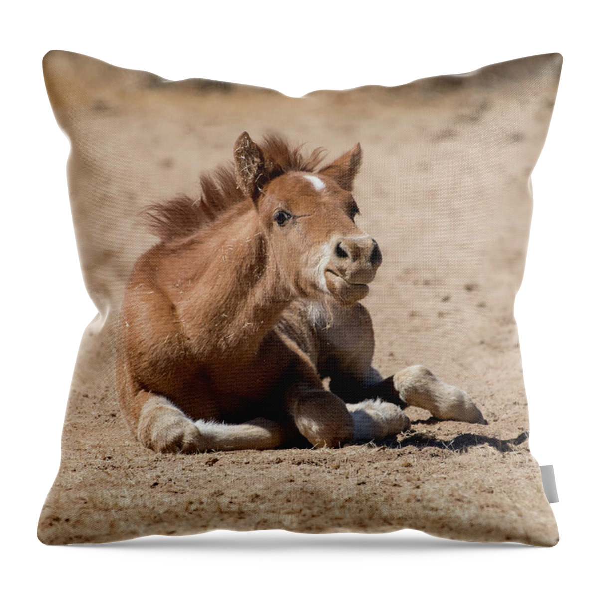 Horse Throw Pillow featuring the photograph Nap Time's Over by Lisa Manifold