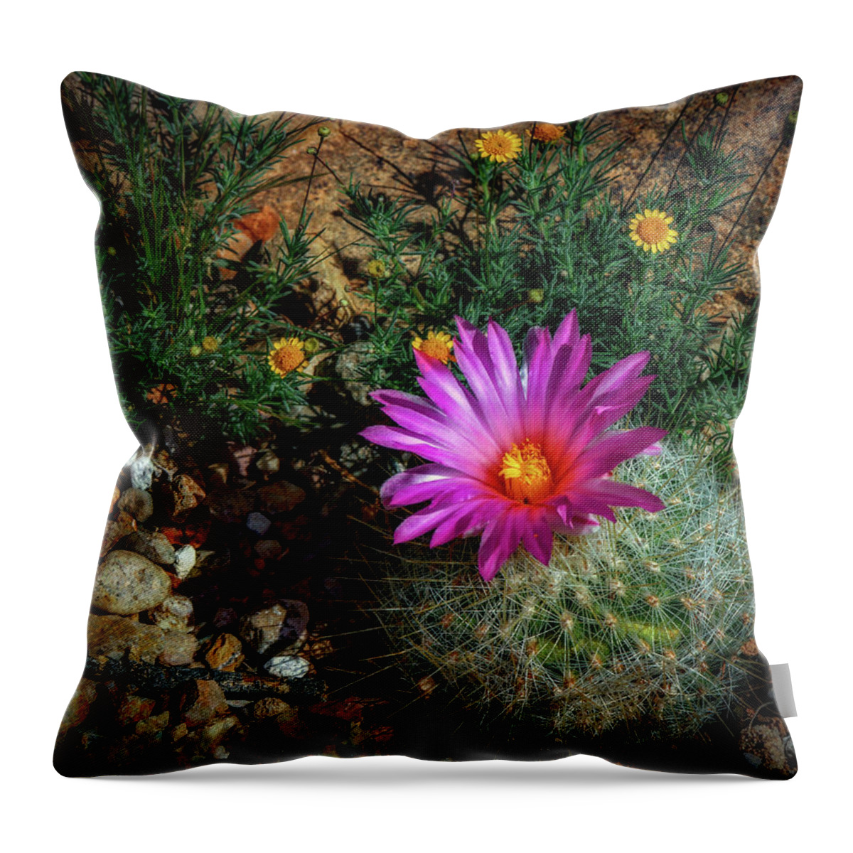Flowers Throw Pillow featuring the photograph Desert Splash by Elaine Malott