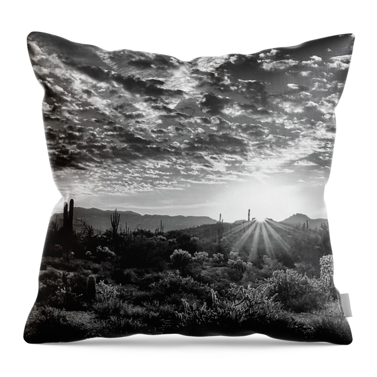 Arizona Trip 2016 Throw Pillow featuring the photograph Desert Sunrise by Monte Stevens