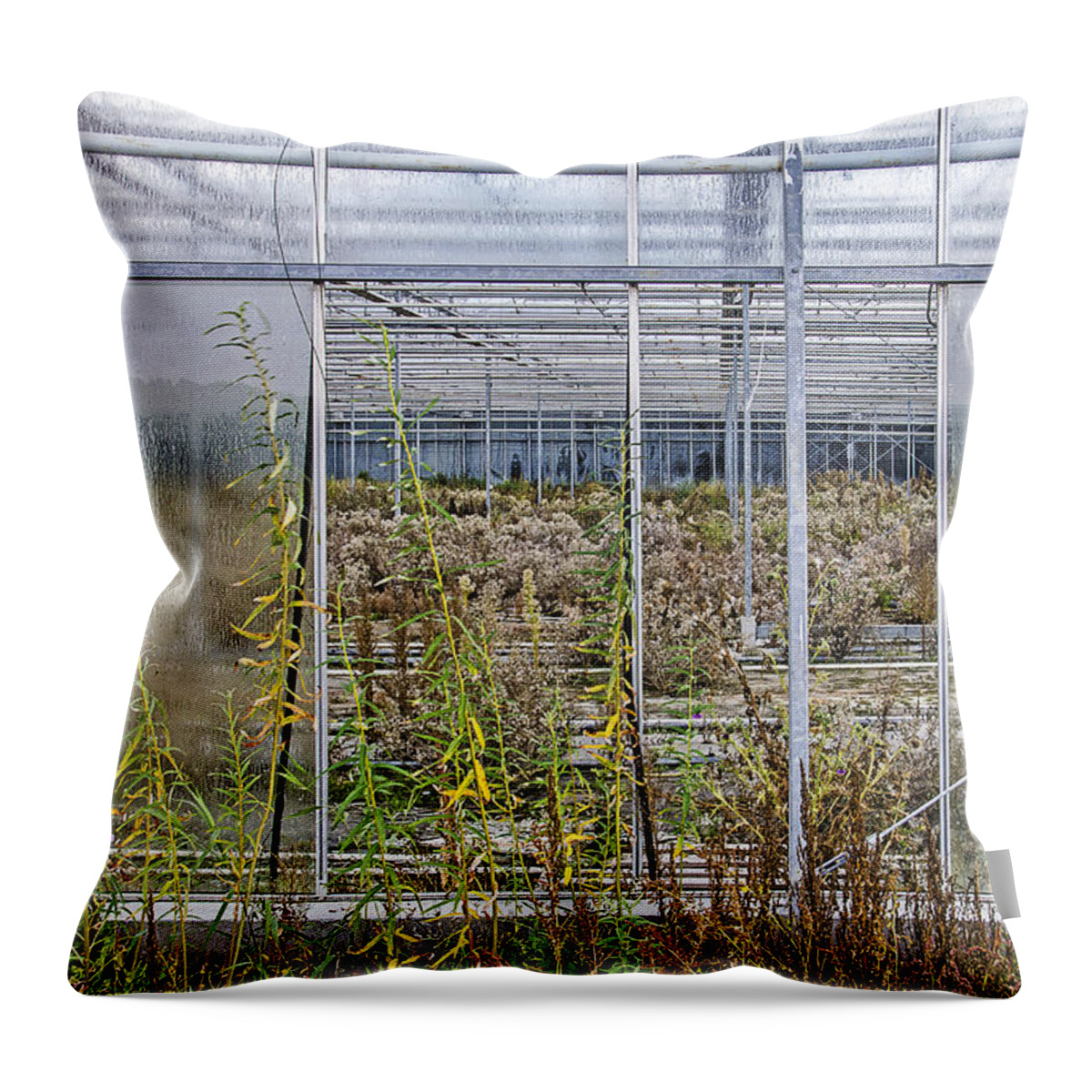 Greenhouse Throw Pillow featuring the photograph Deserted City of Glass by Frans Blok