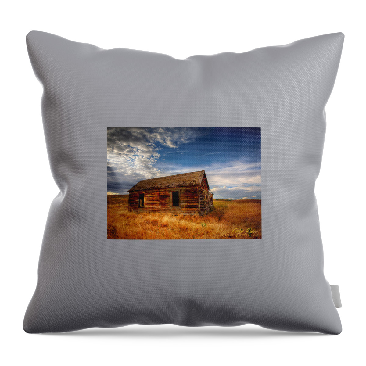 Wyoming Throw Pillow featuring the photograph Deserted near Spotted horse by Rikk Flohr