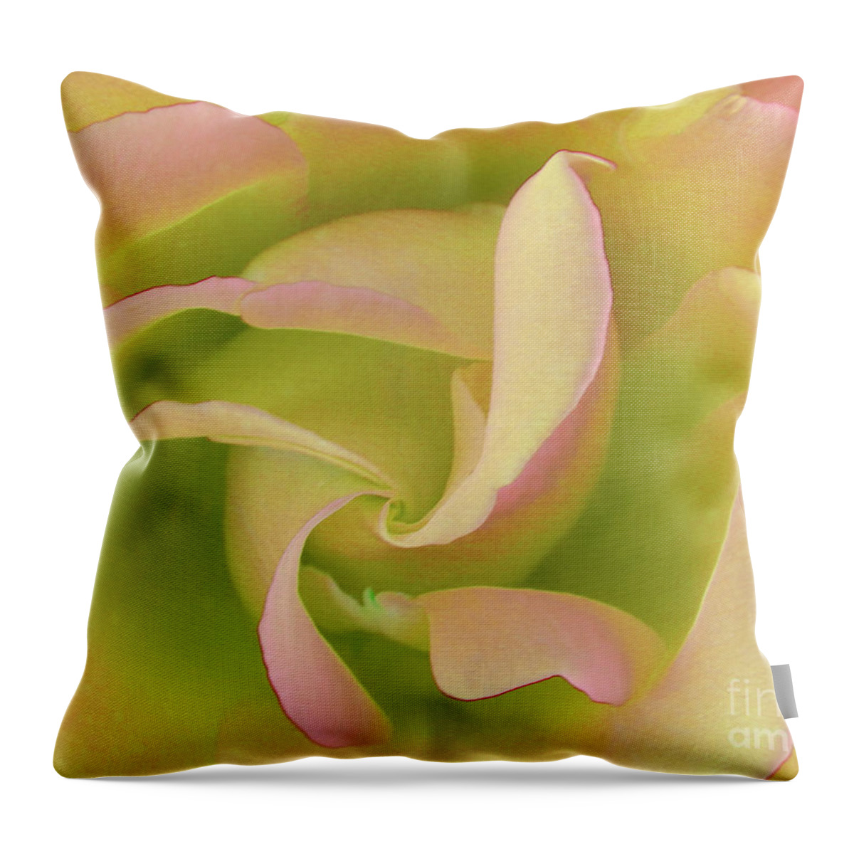 Flowers-roses Throw Pillow featuring the photograph Designer Rose by Scott Cameron