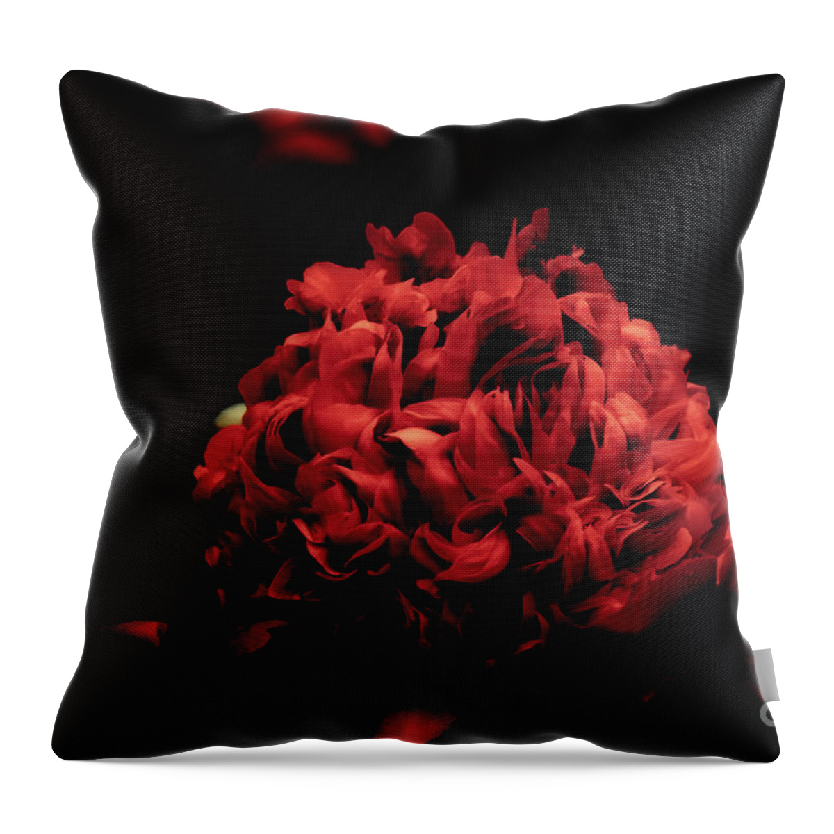 Desire After Midnight Throw Pillow featuring the photograph Desire After Midnight 2 by Rachel Cohen