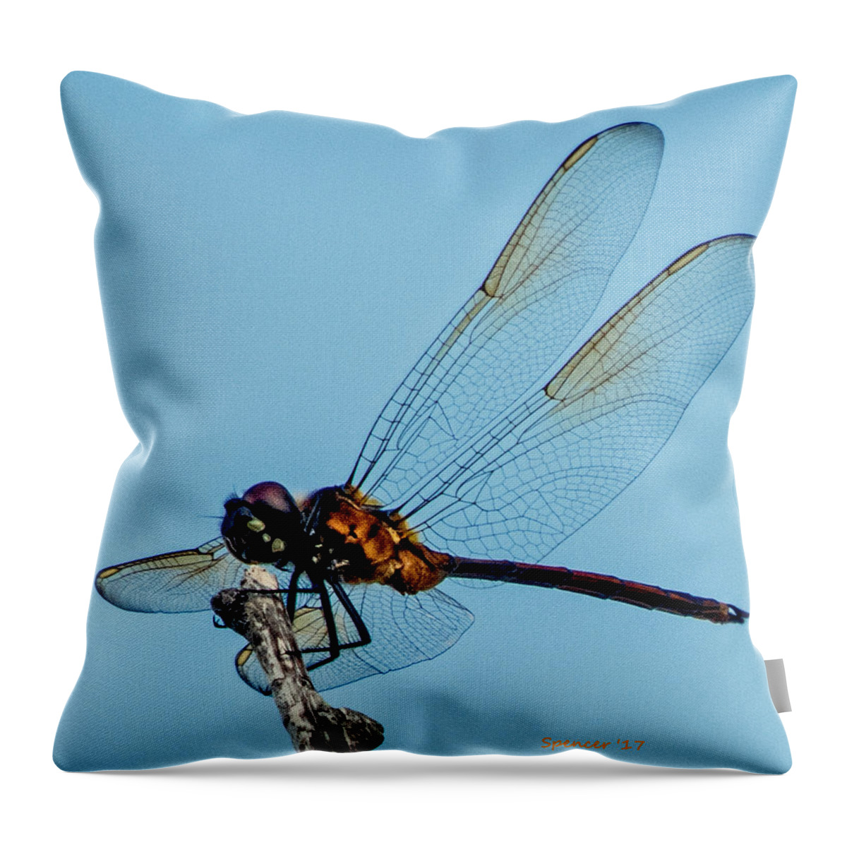 Florida Throw Pillow featuring the photograph Details by T Guy Spencer