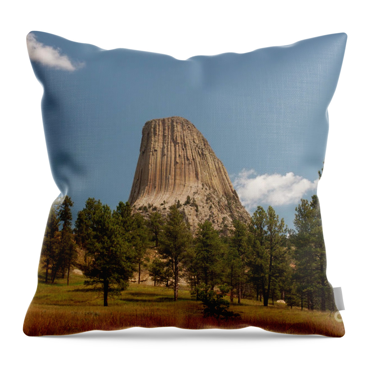 Devil's Tower National Monument Throw Pillow featuring the photograph Devil's Tower and Trees by Julia McHugh