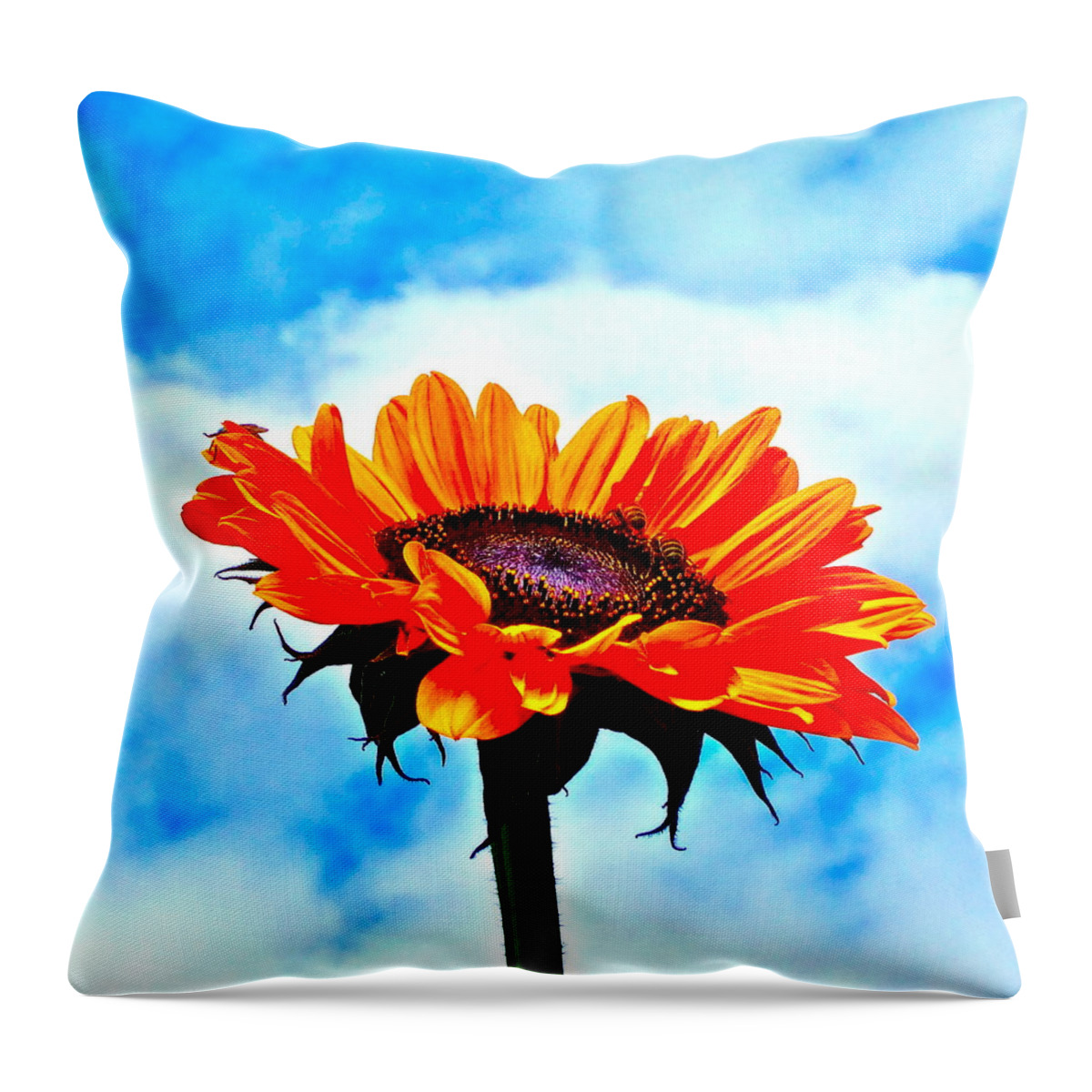 Photograph Of Sunflower With Blue Sky Throw Pillow featuring the photograph Devotion by Gwyn Newcombe