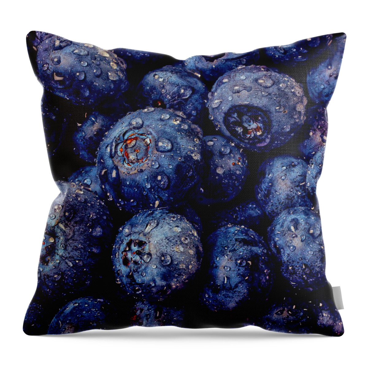 Blueberries Throw Pillow featuring the photograph Dew Covered Blueberries by Garry Gay