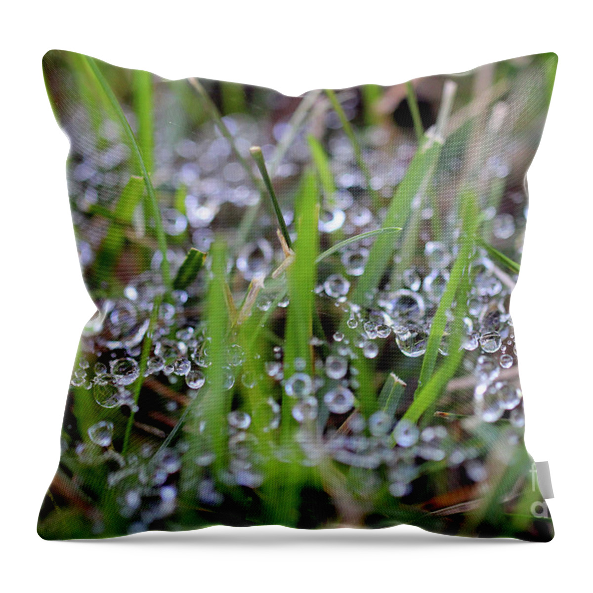 Dew Throw Pillow featuring the photograph Dew Drops in Grass #3 by Karen Adams
