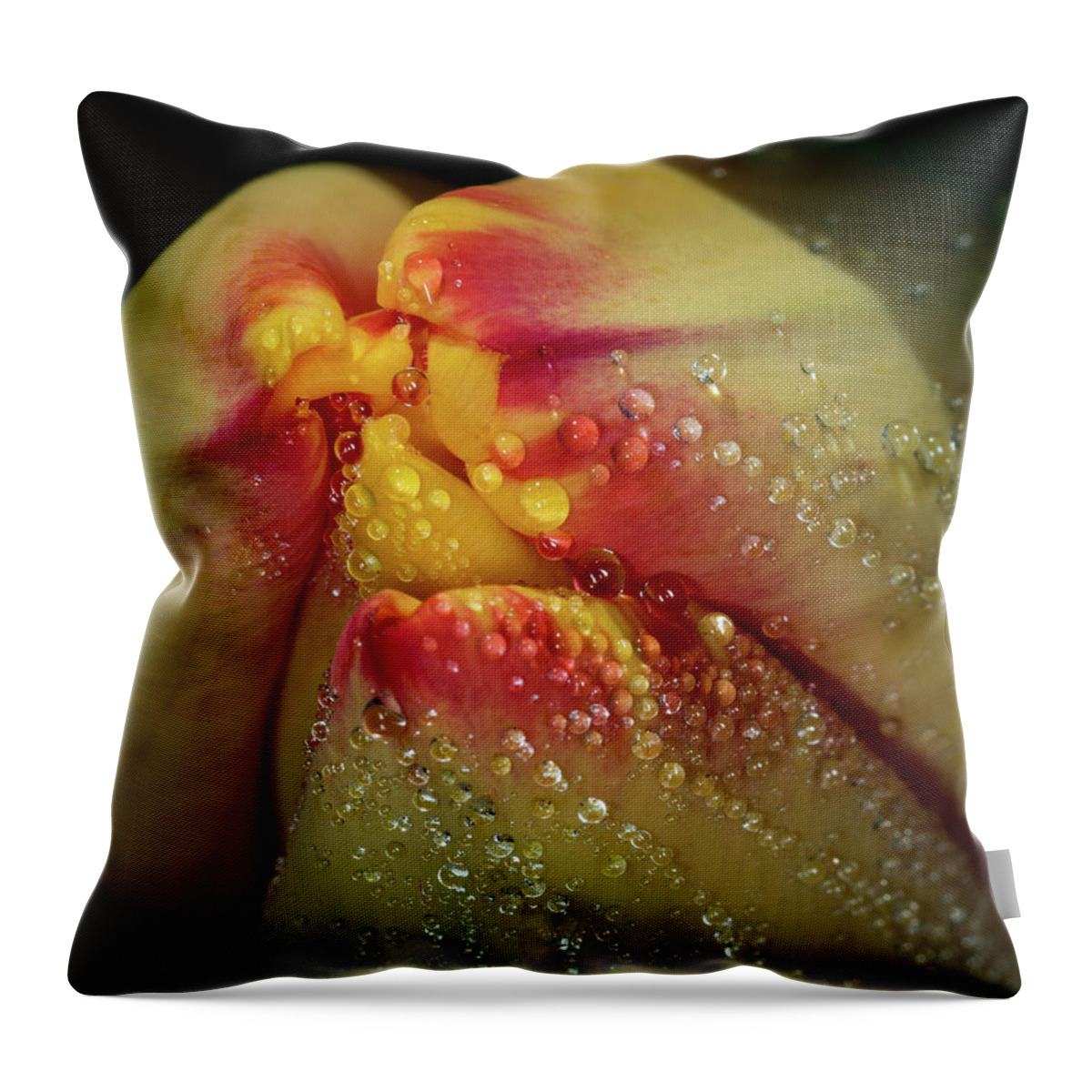 Jay Stockhaus Throw Pillow featuring the photograph Dew Drops on the Tulip by Jay Stockhaus