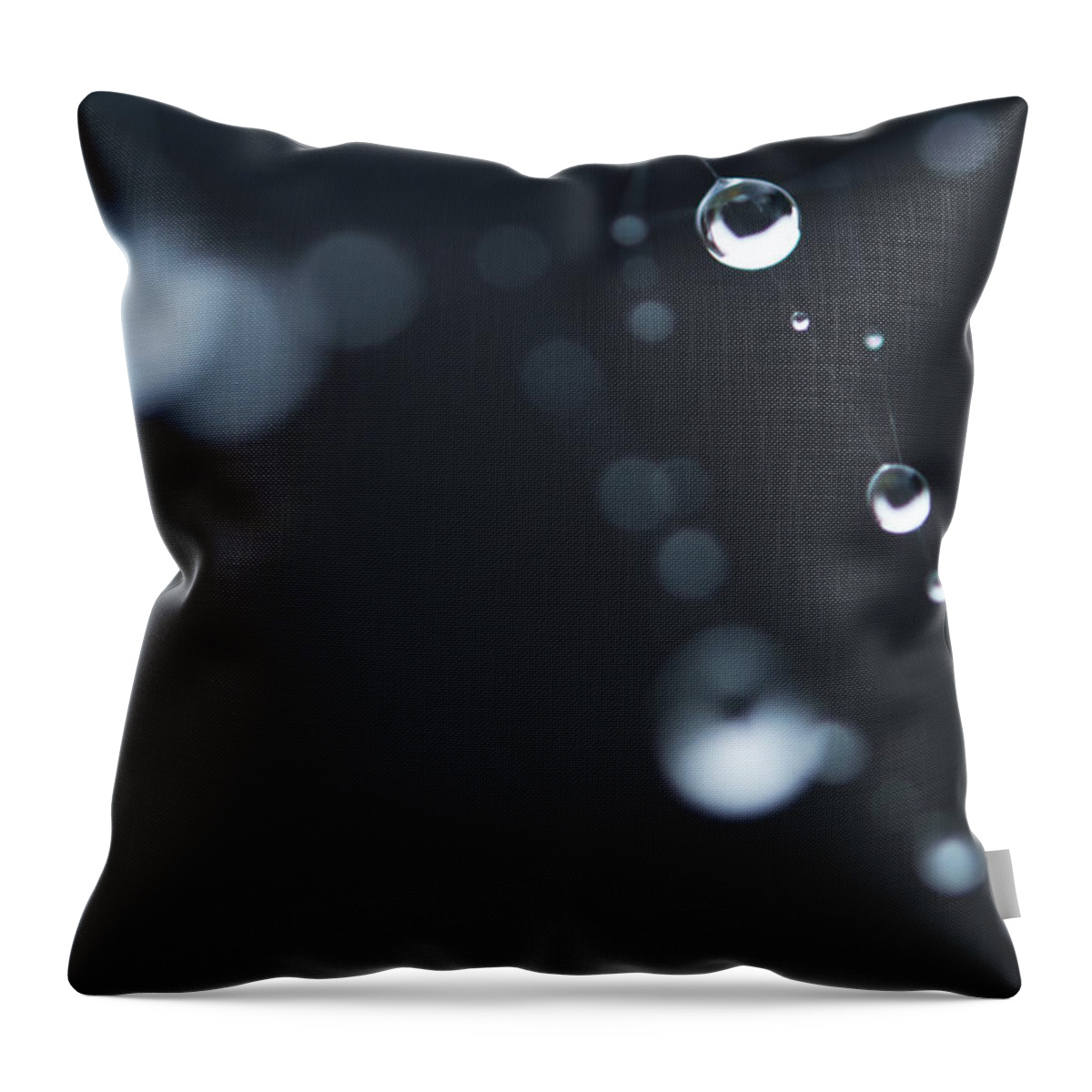 Dew Throw Pillow featuring the photograph Dewdrops on cobweb 004 by Clayton Bastiani
