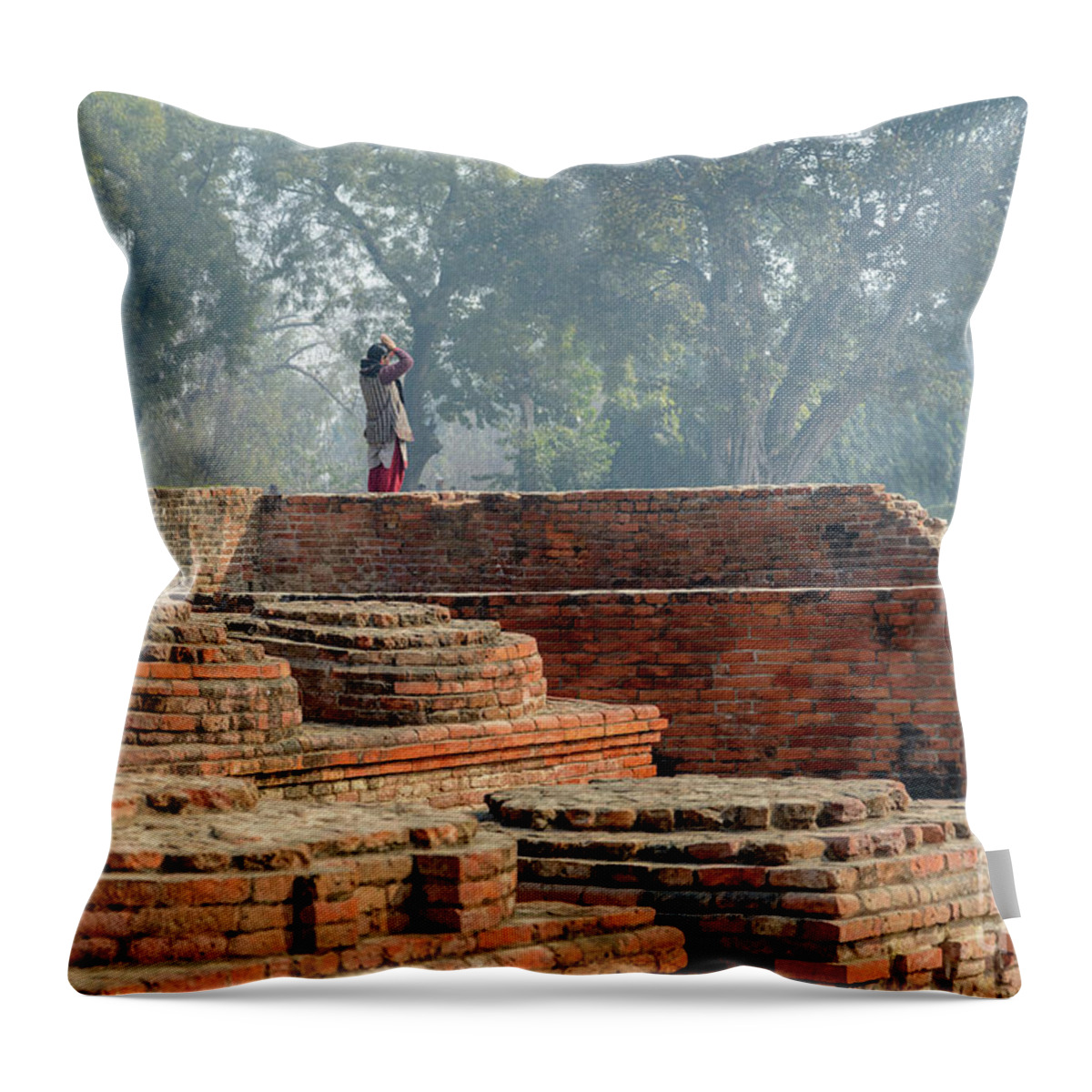 India Throw Pillow featuring the photograph Dharma Chakra Jinavihara 02 by Werner Padarin