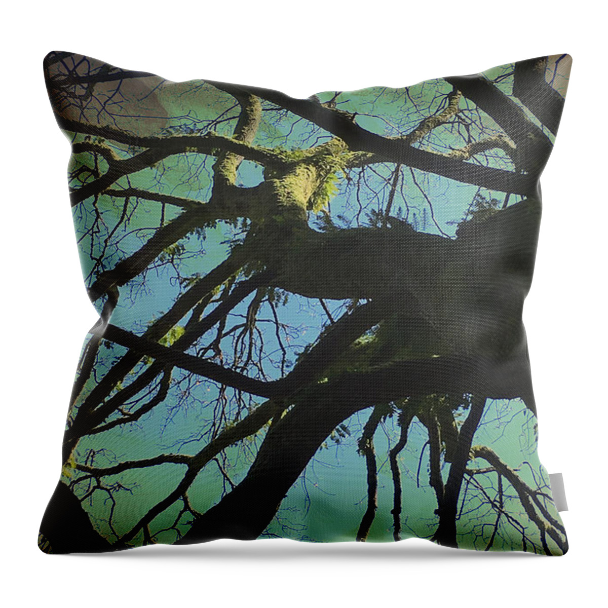 Connie Handscomb Throw Pillow featuring the photograph Dialogue by Connie Handscomb